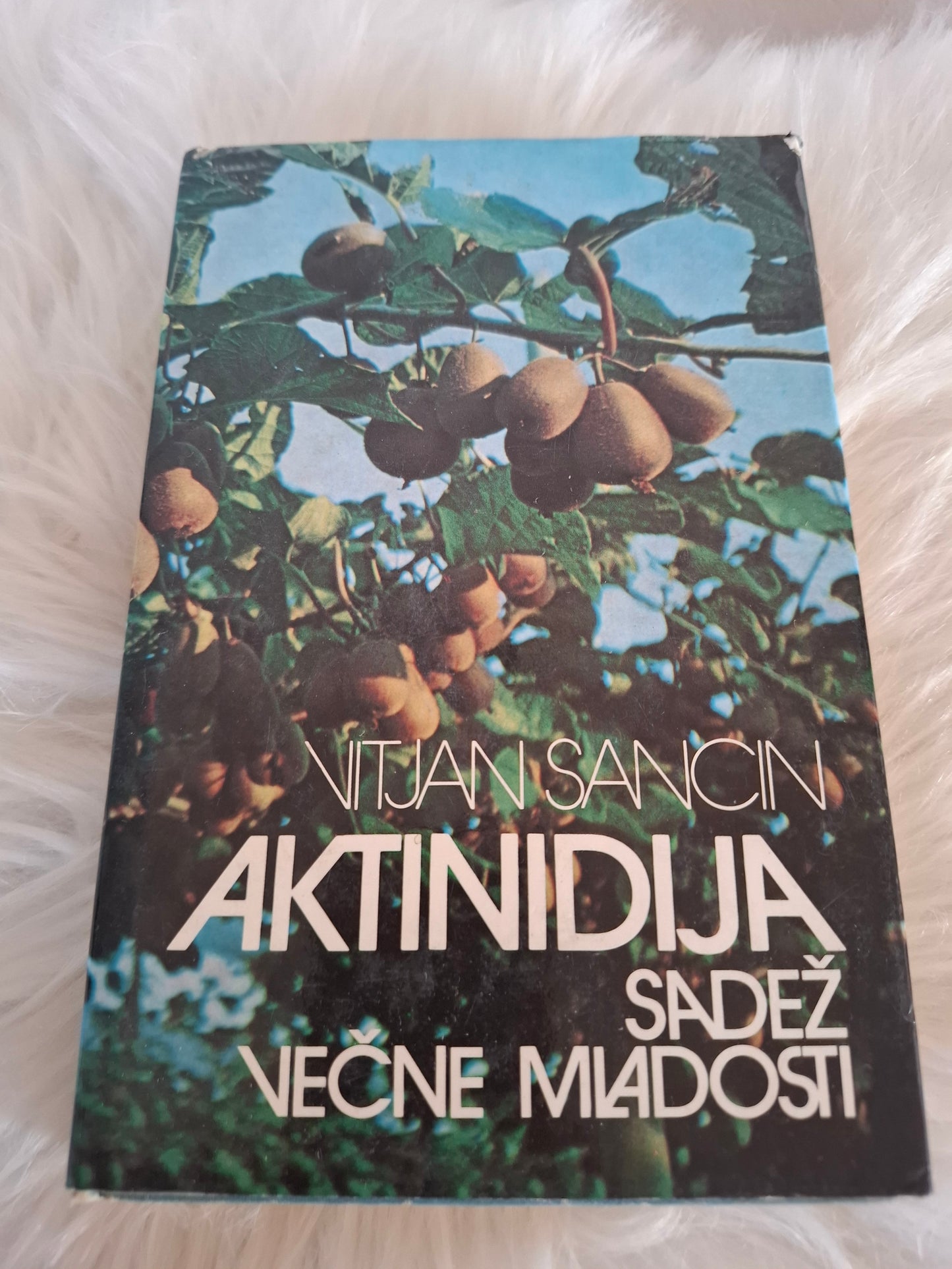 Aktinidija Vitjan Sancin