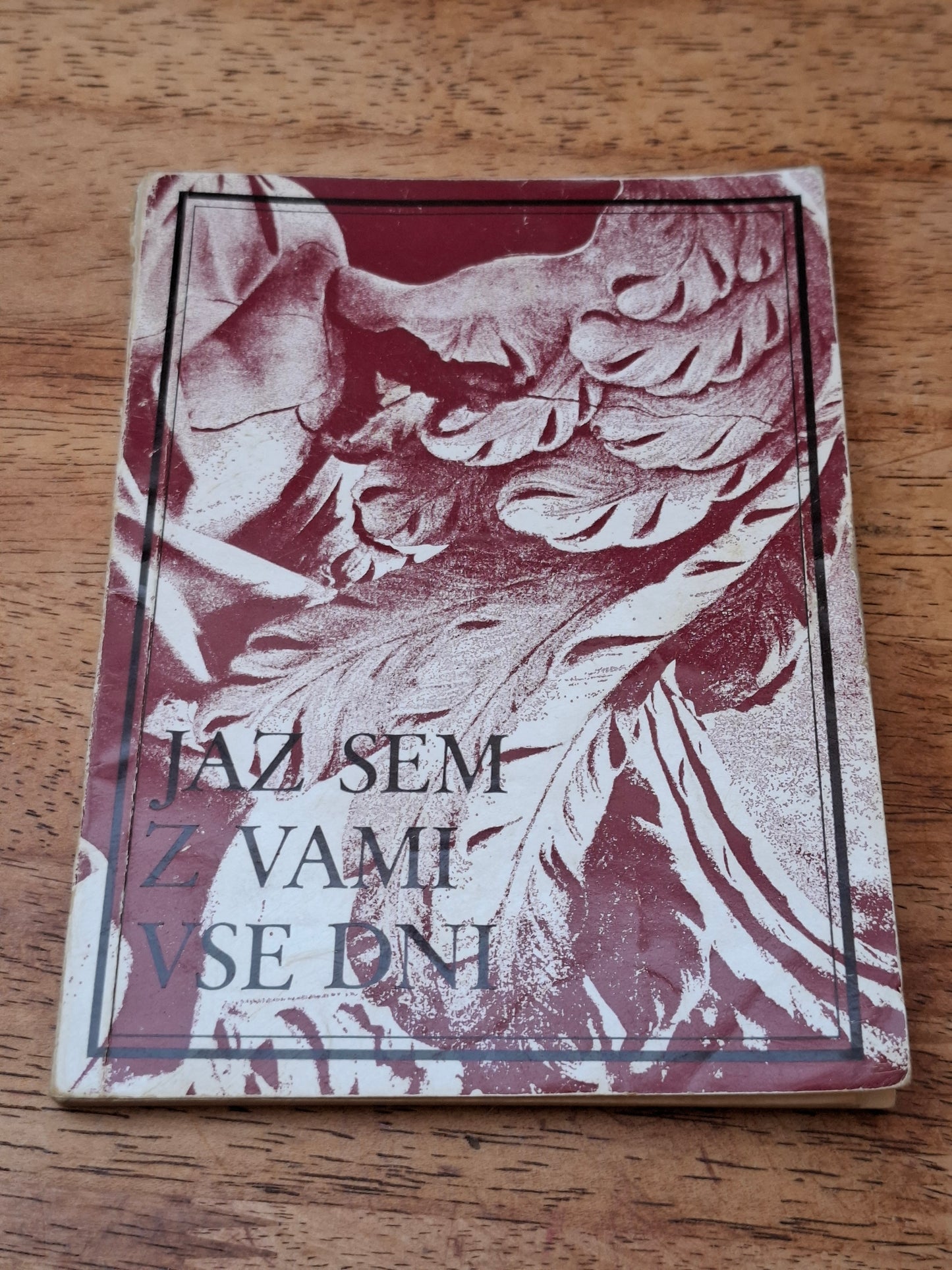 Jaz sem z vami vse dni Rafko Vodeb