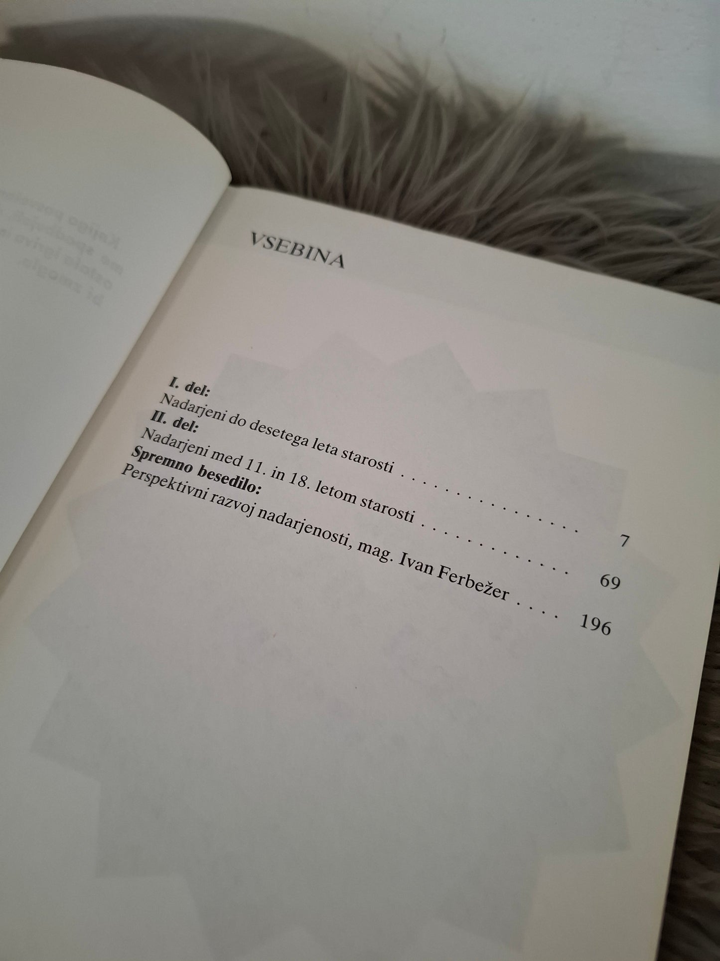 Vodič za nadarjene Judy Galbraith