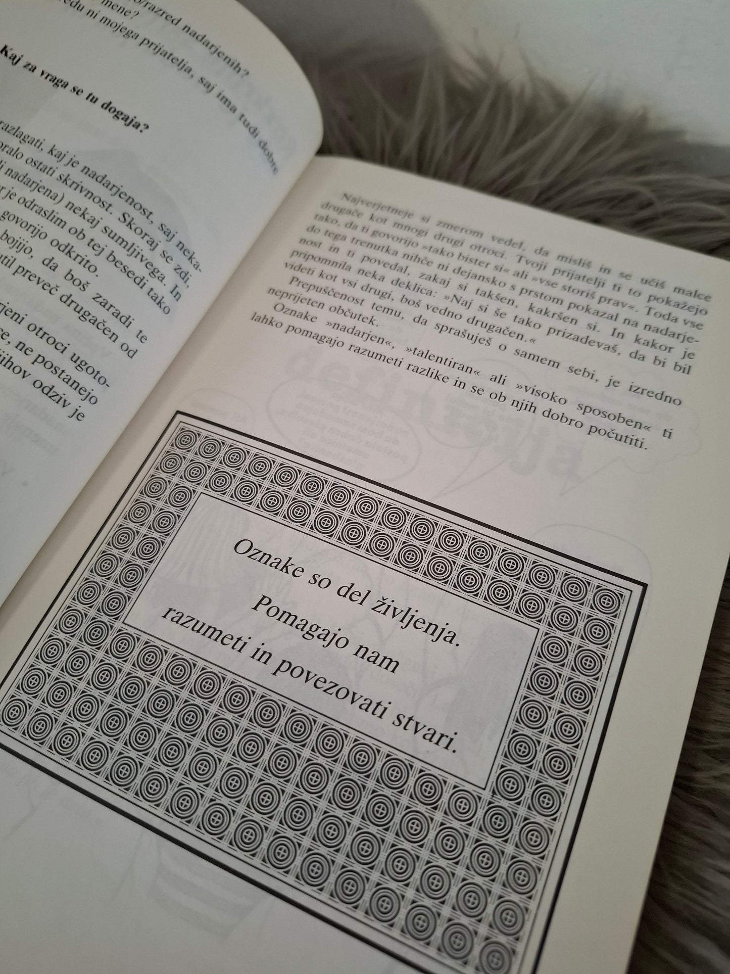 Vodič za nadarjene Judy Galbraith