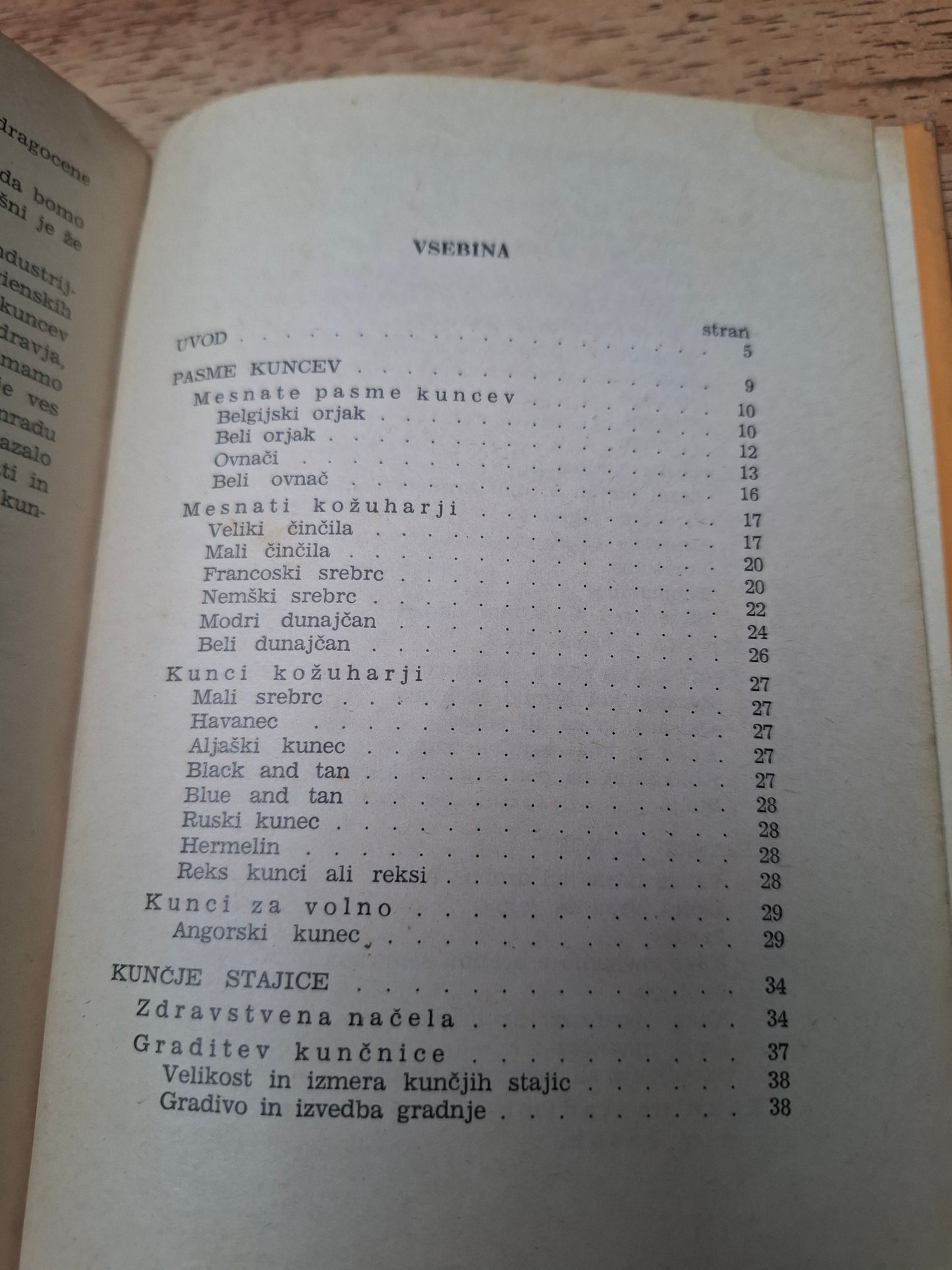 Reja kuncev Stanko Arko