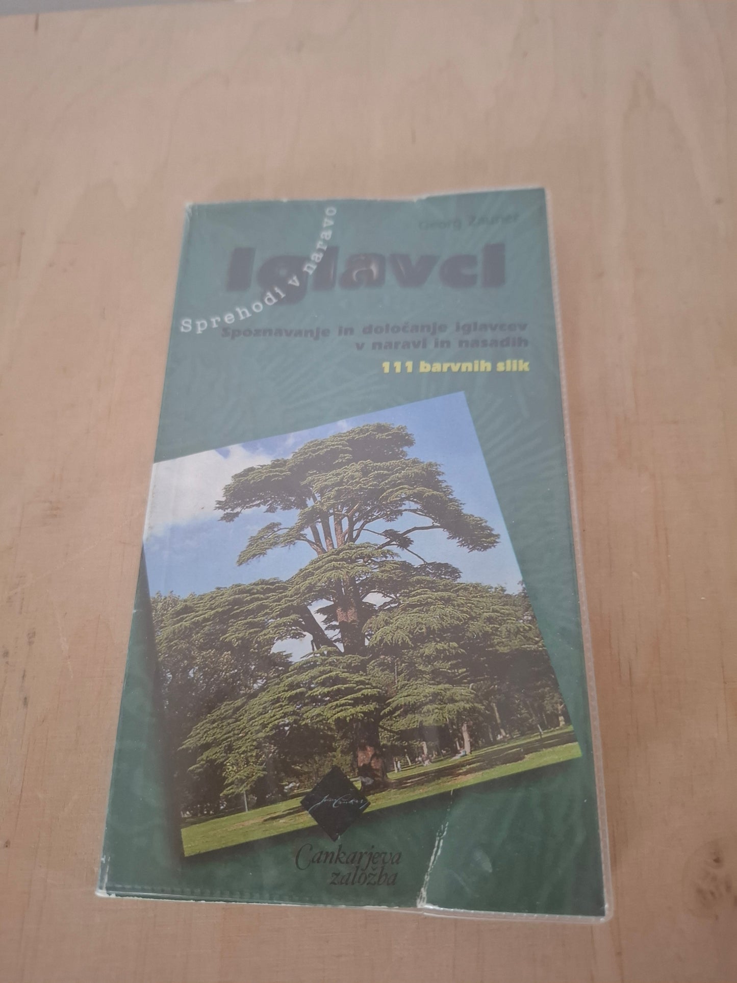 Iglavci Georgb Zauner Sprehodi v naravo