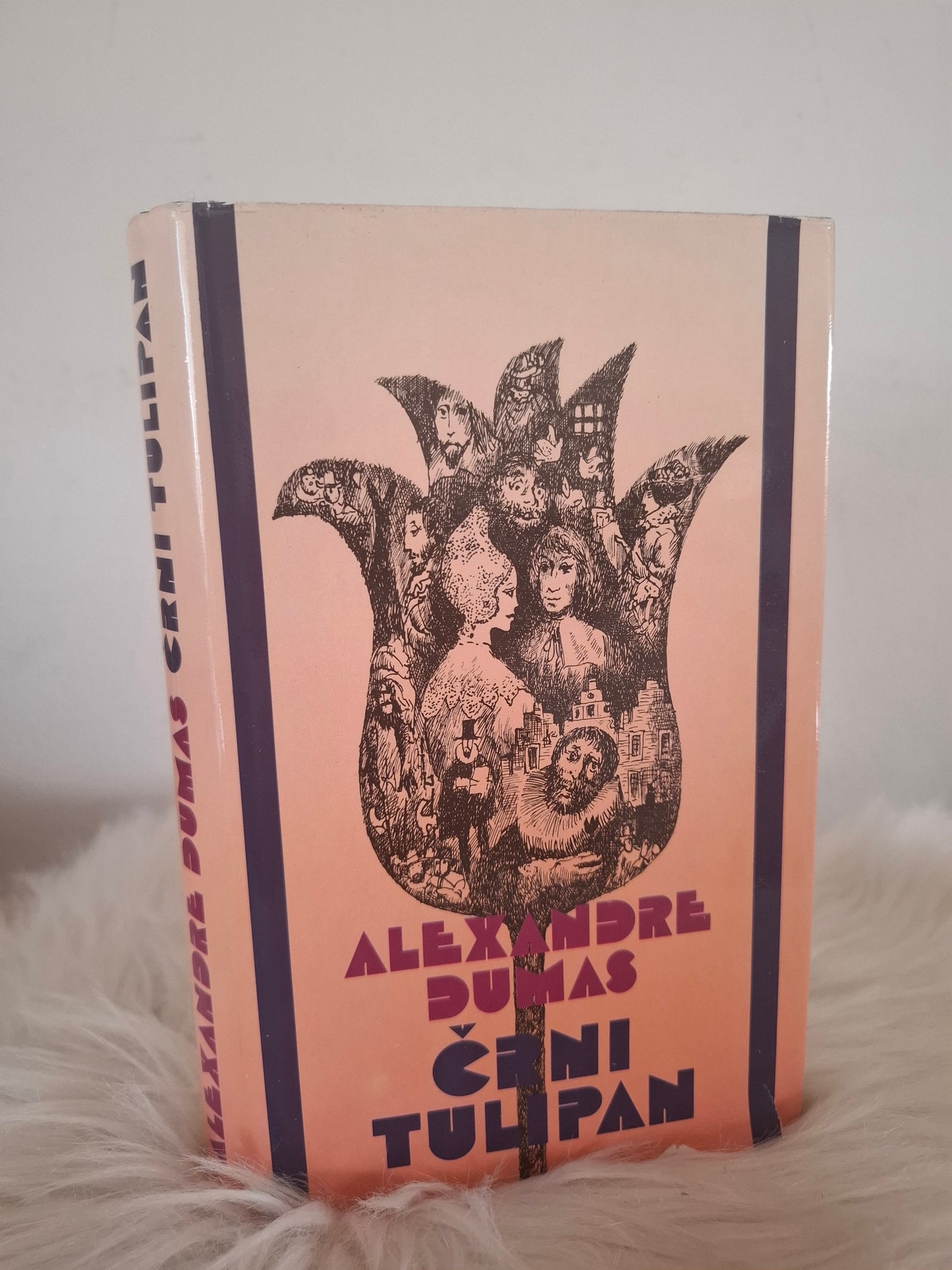 Črni tulipan Alexandre Dumas