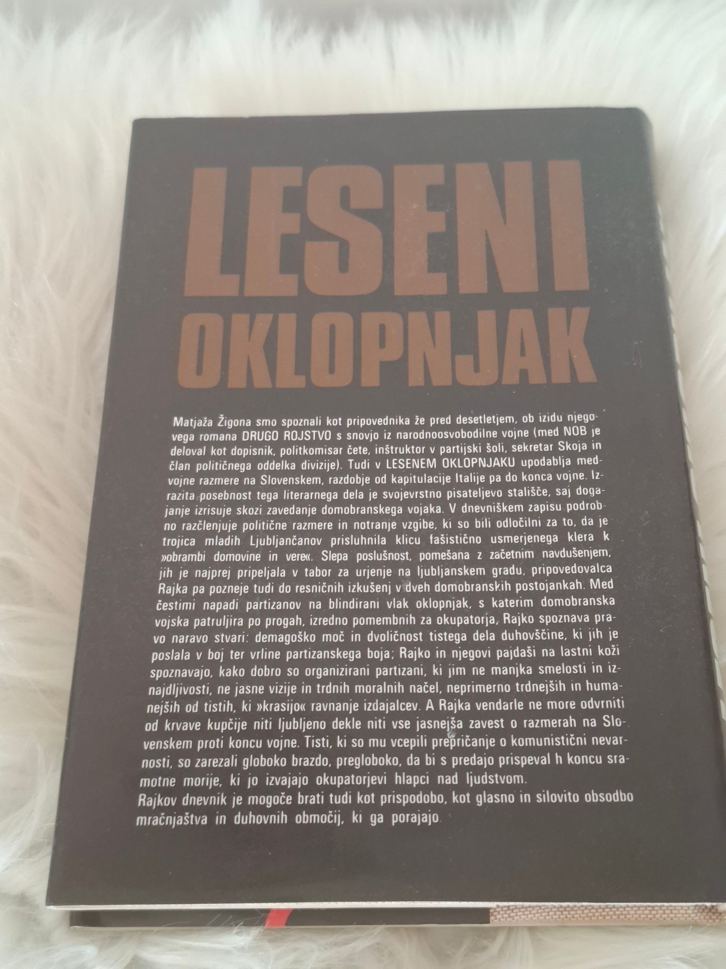 Leseni oklopnjak, Matjaž Žigon