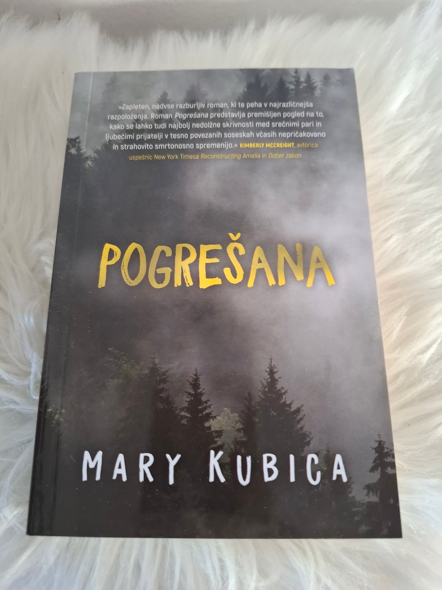 Pogrešana, Mary Kubica
