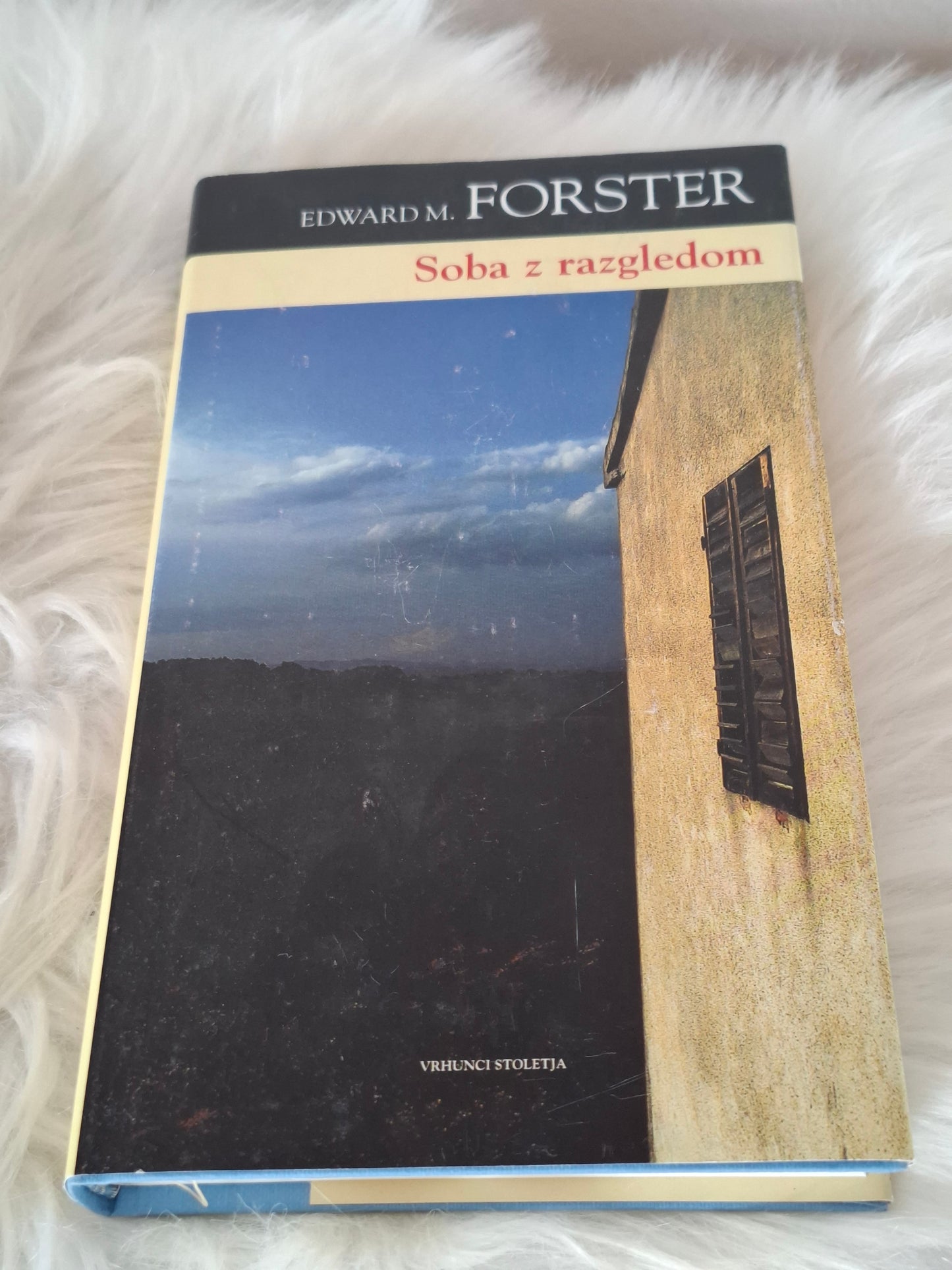 Soba z razgledom Edward M.Forster