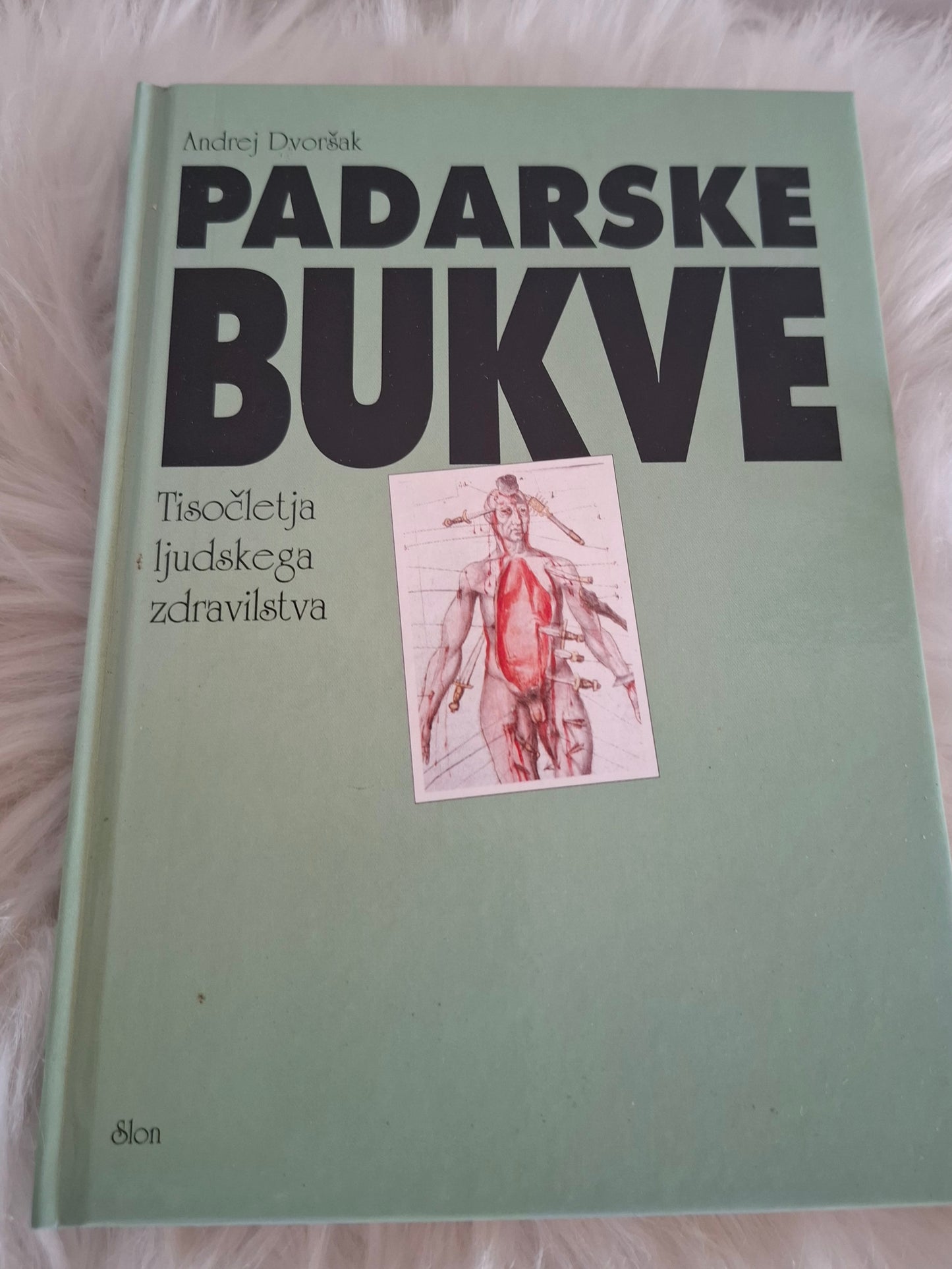 Padarske bukve Andrej Dvoršak