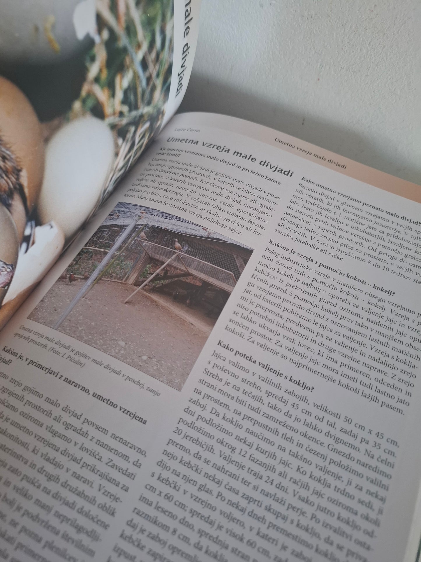 Divjad in lovstvo Lovska zveza Slovenije