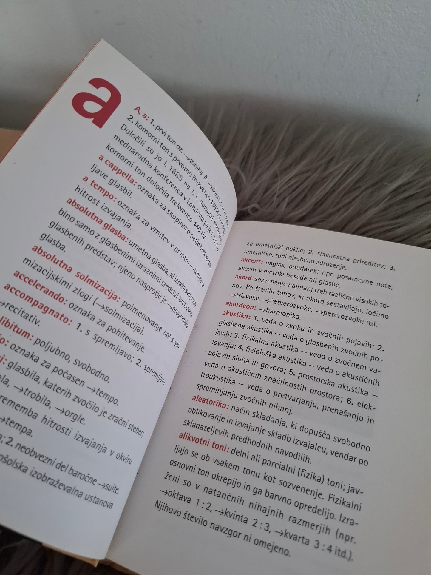 Glasbeni slovarček Mladinska knjiga