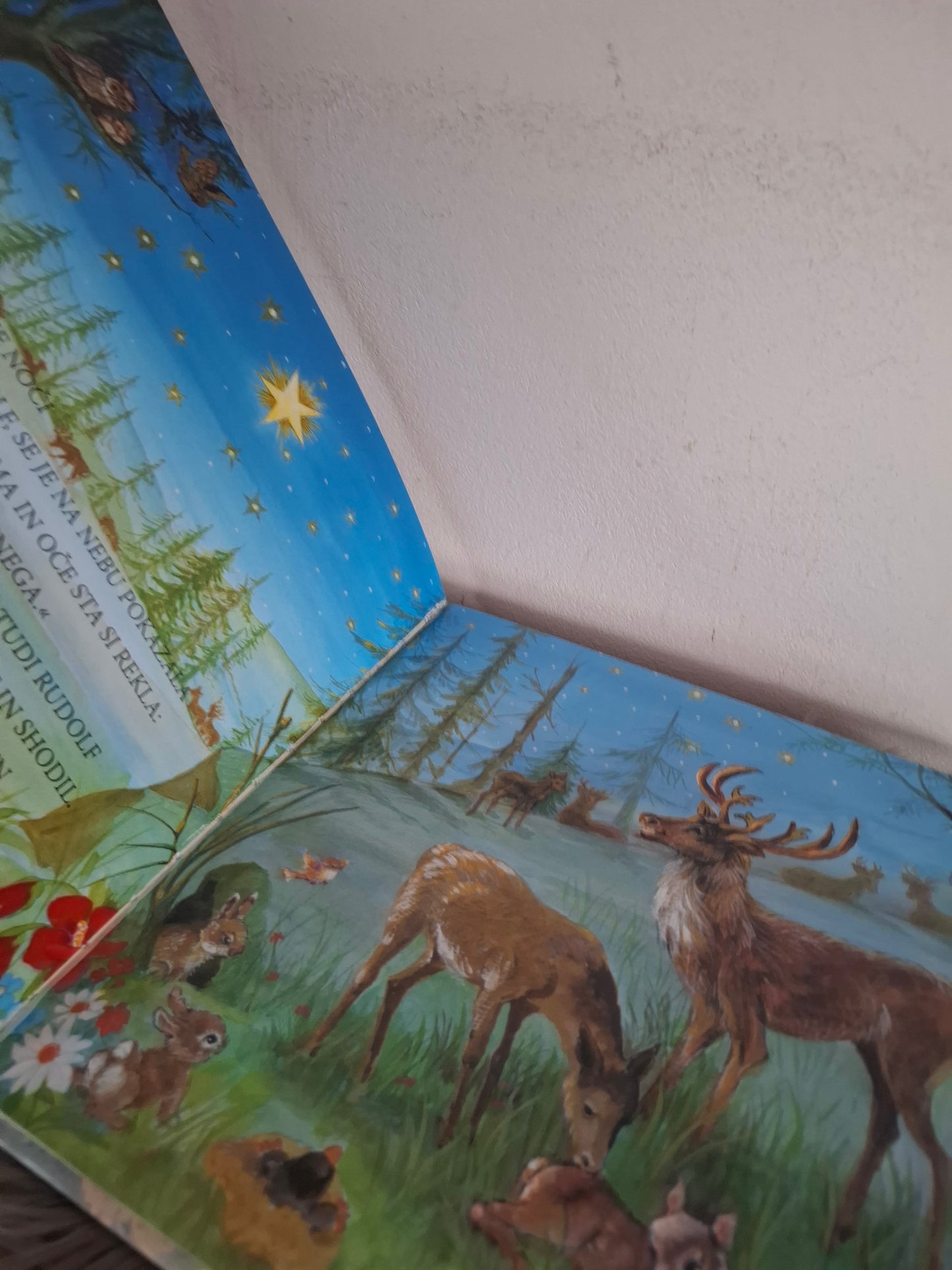 Severni jelen in dobrota Založba Grahovac