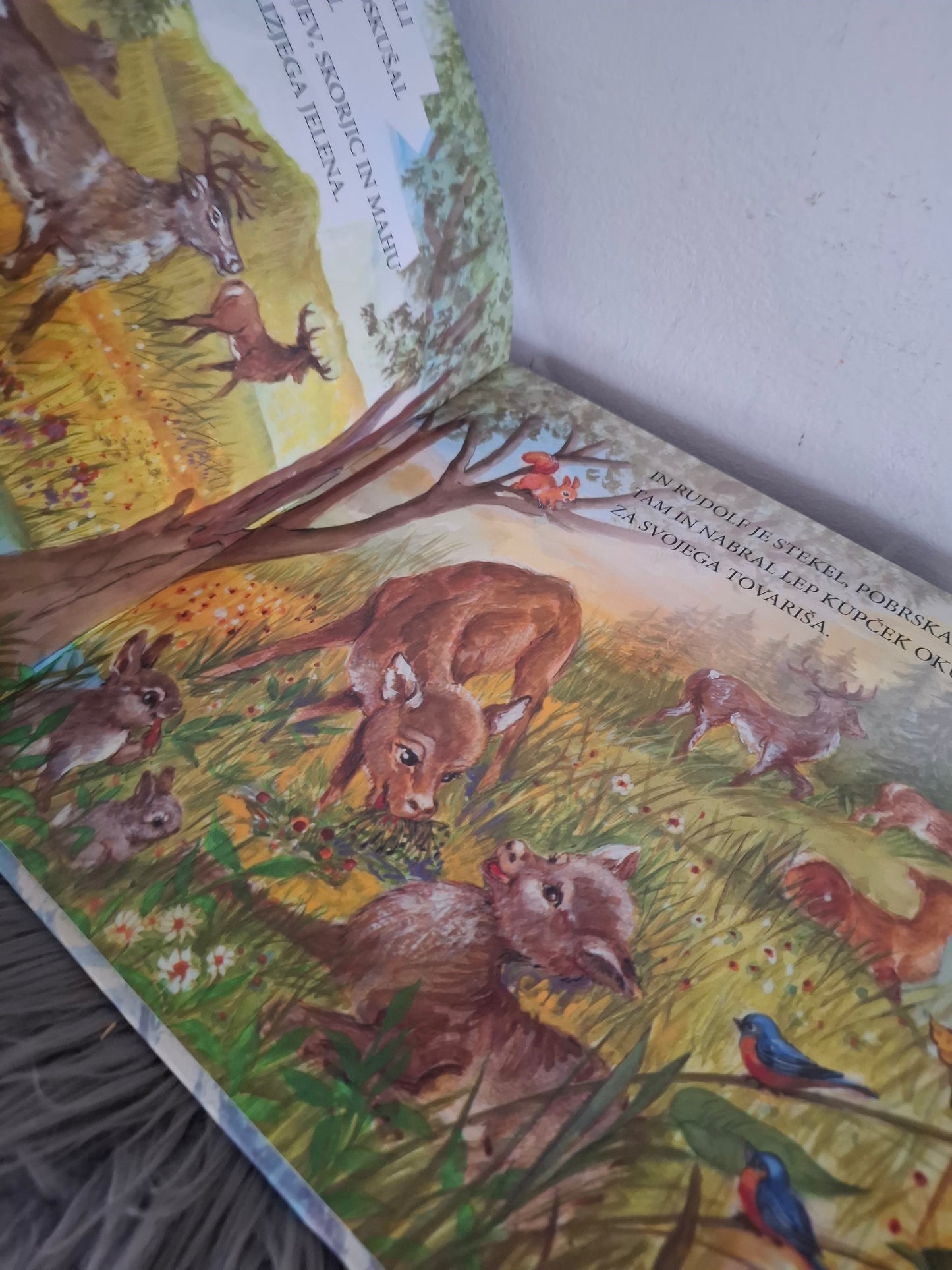 Severni jelen in dobrota Založba Grahovac