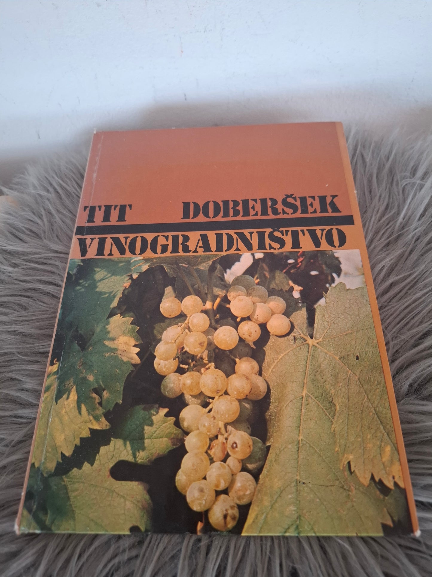 Vinogradništvo Tit Doberšek