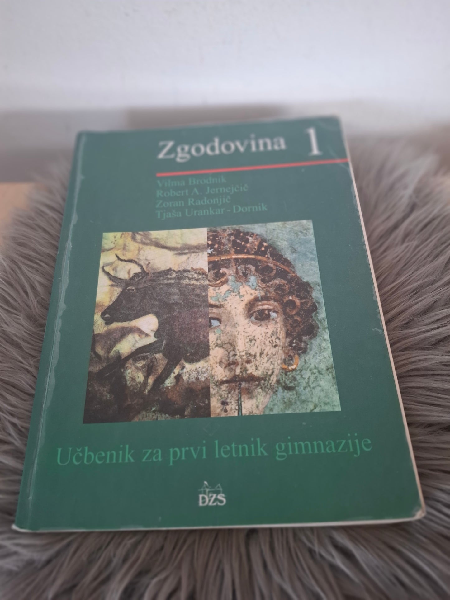 Zgodovina 1 Vilma Brodnik Robert A. Jernejčič Zoran Radonjič Tjaša Urankar Dornik