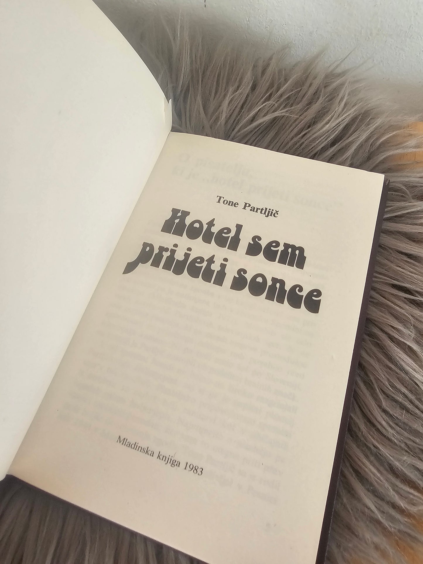 Hotel sem prijeti sonce Tone Partljič