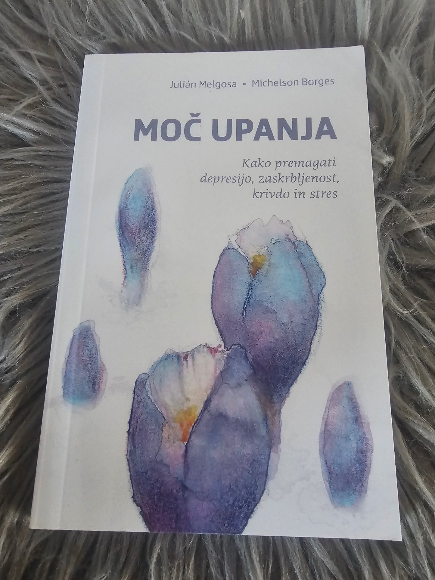 Moč upanja Julian Melgosa Michelson Borges