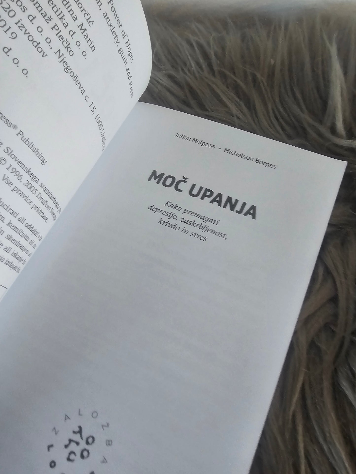Moč upanja Julian Melgosa Michelson Borges