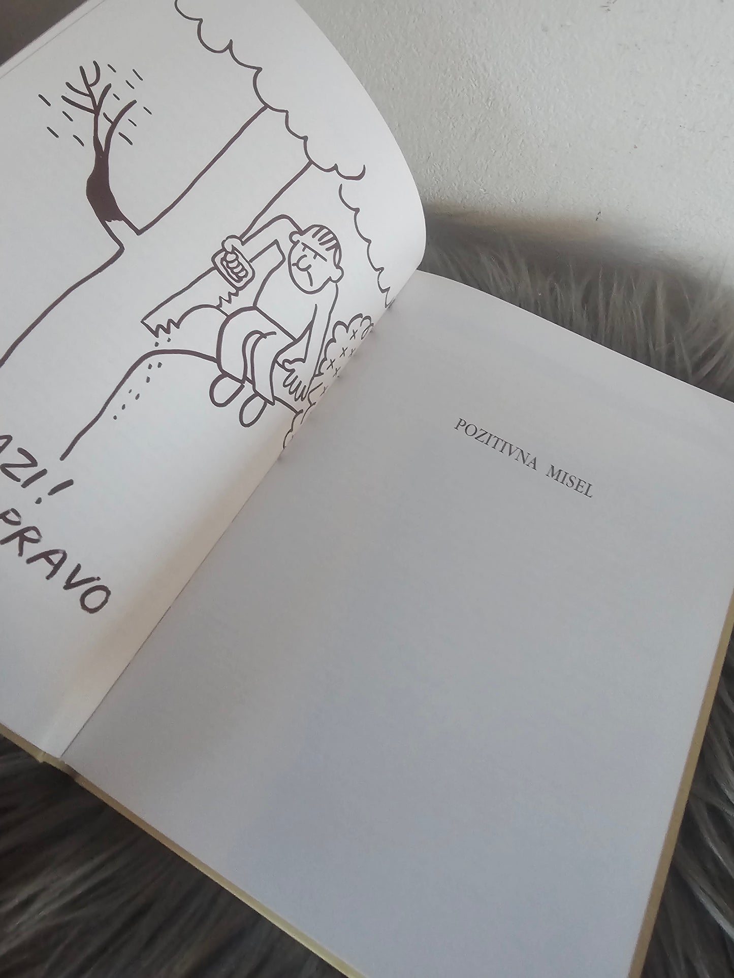 Pot do uspeh s pozitivno mislijo Milenka Trkovnik