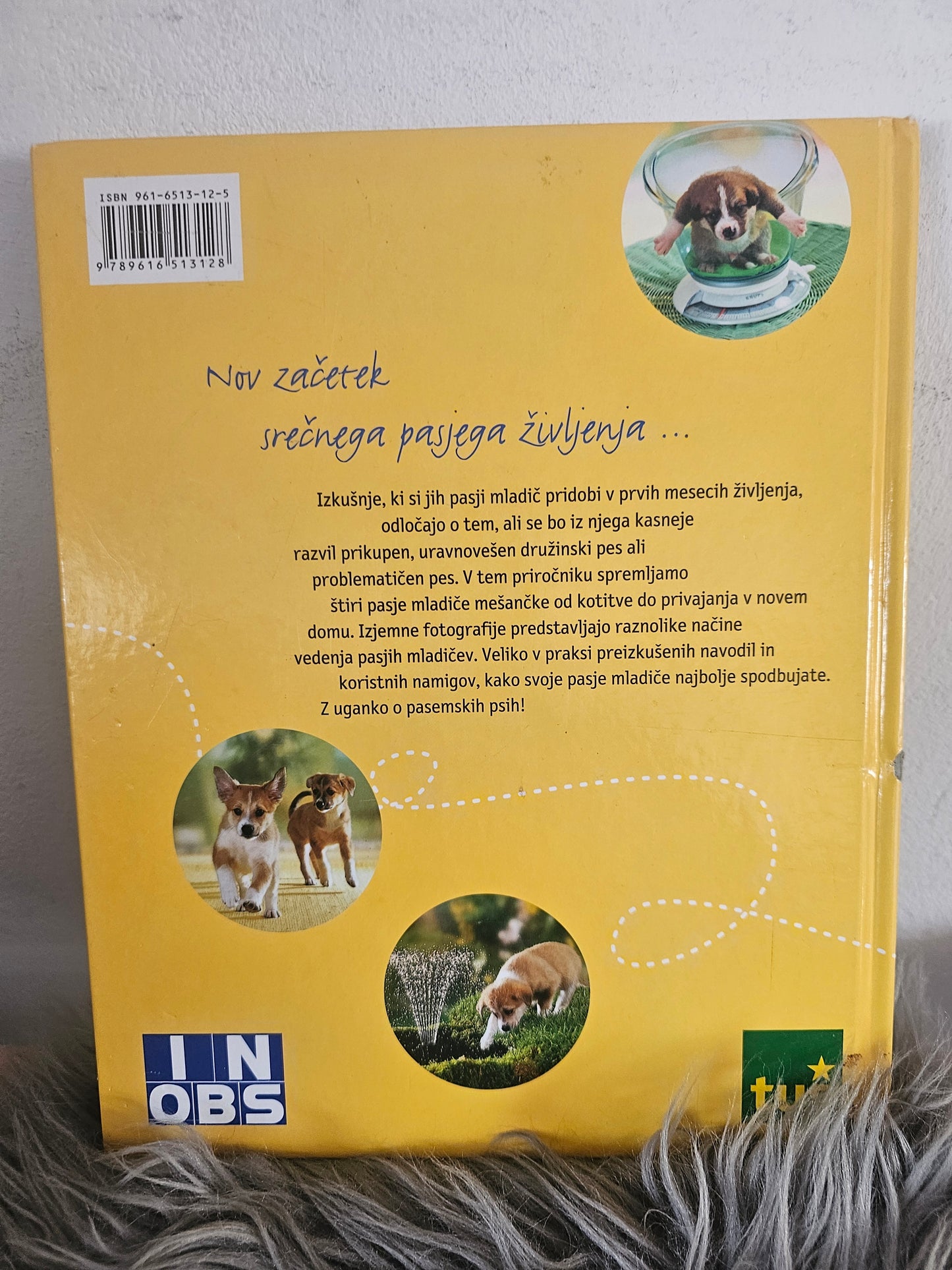 Pasji in mačji mladički odkrivajo svet Monika Wegler