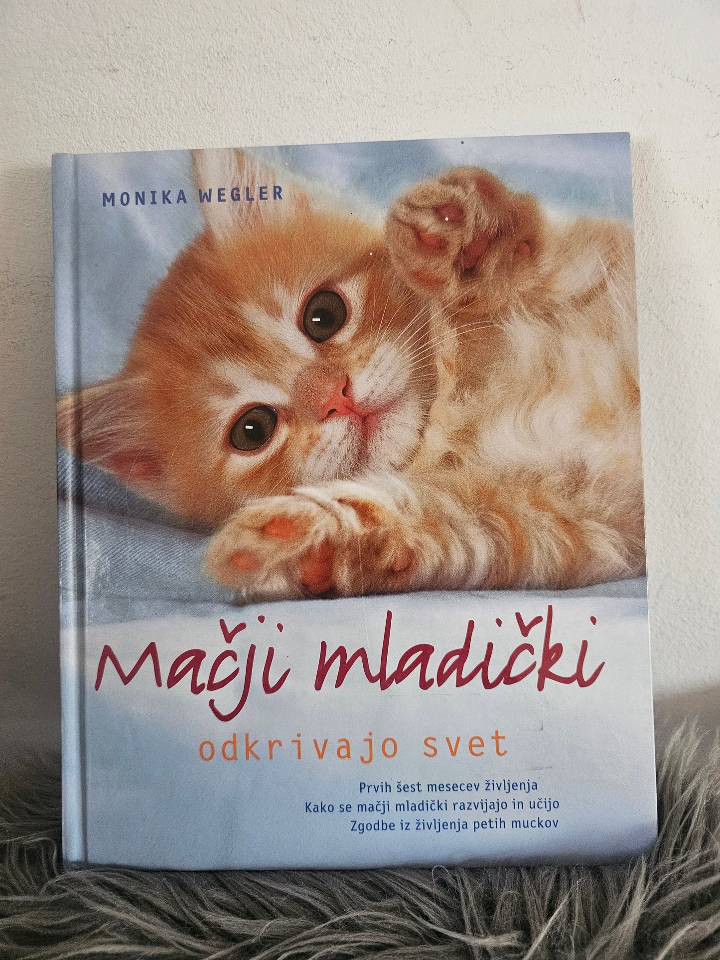 Pasji in mačji mladički odkrivajo svet Monika Wegler