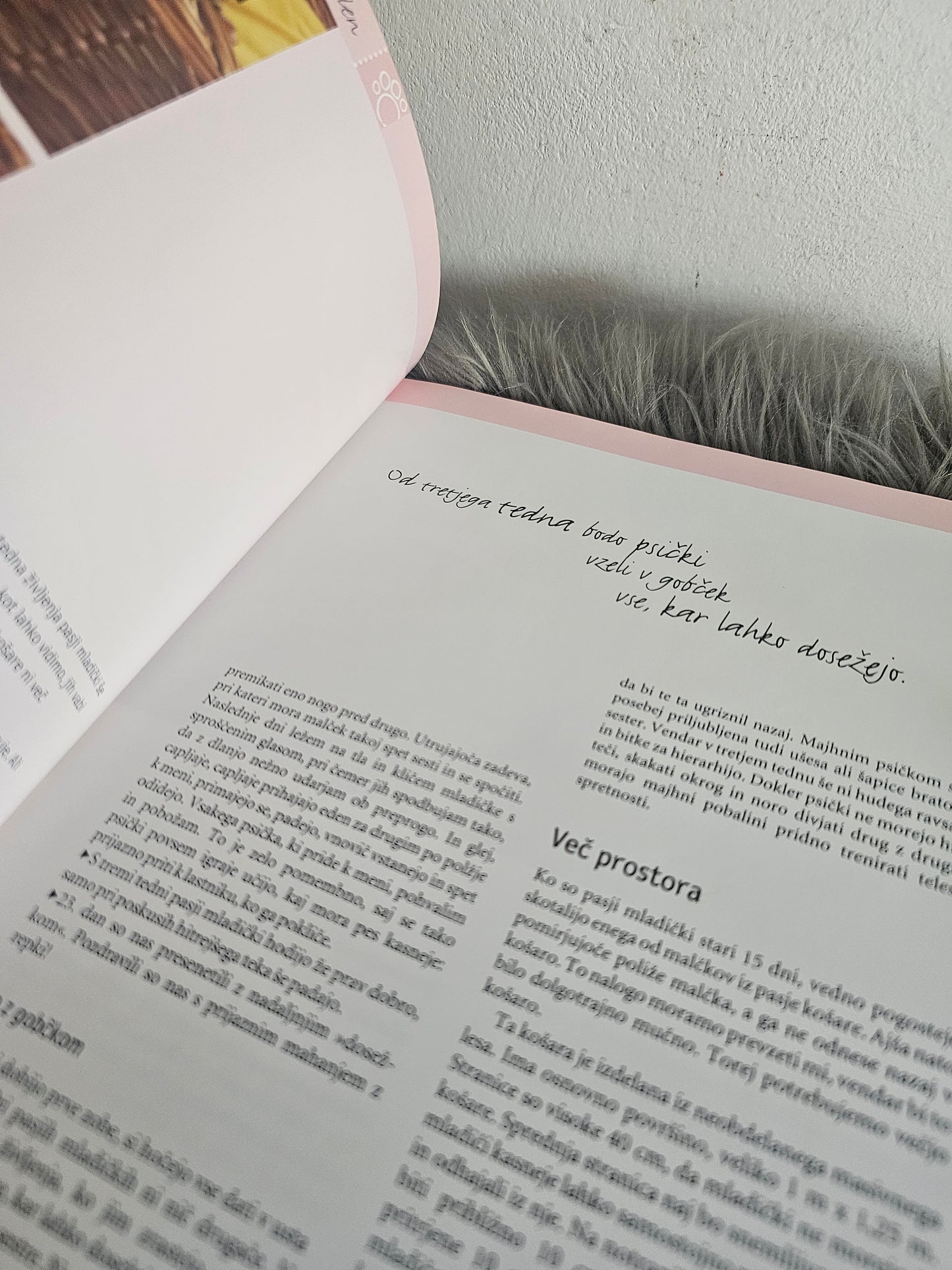 Pasji in mačji mladički odkrivajo svet Monika Wegler