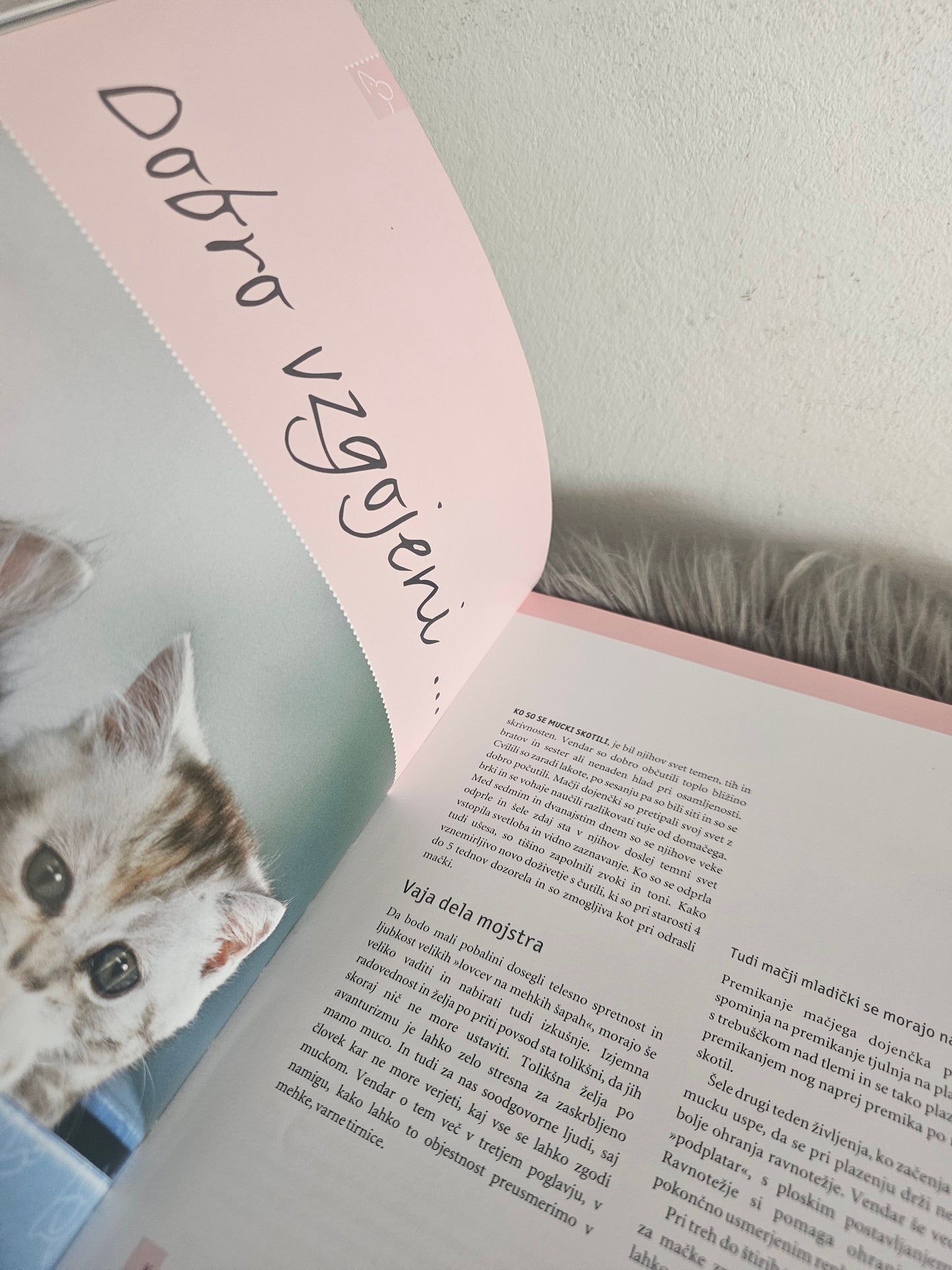 Pasji in mačji mladički odkrivajo svet Monika Wegler