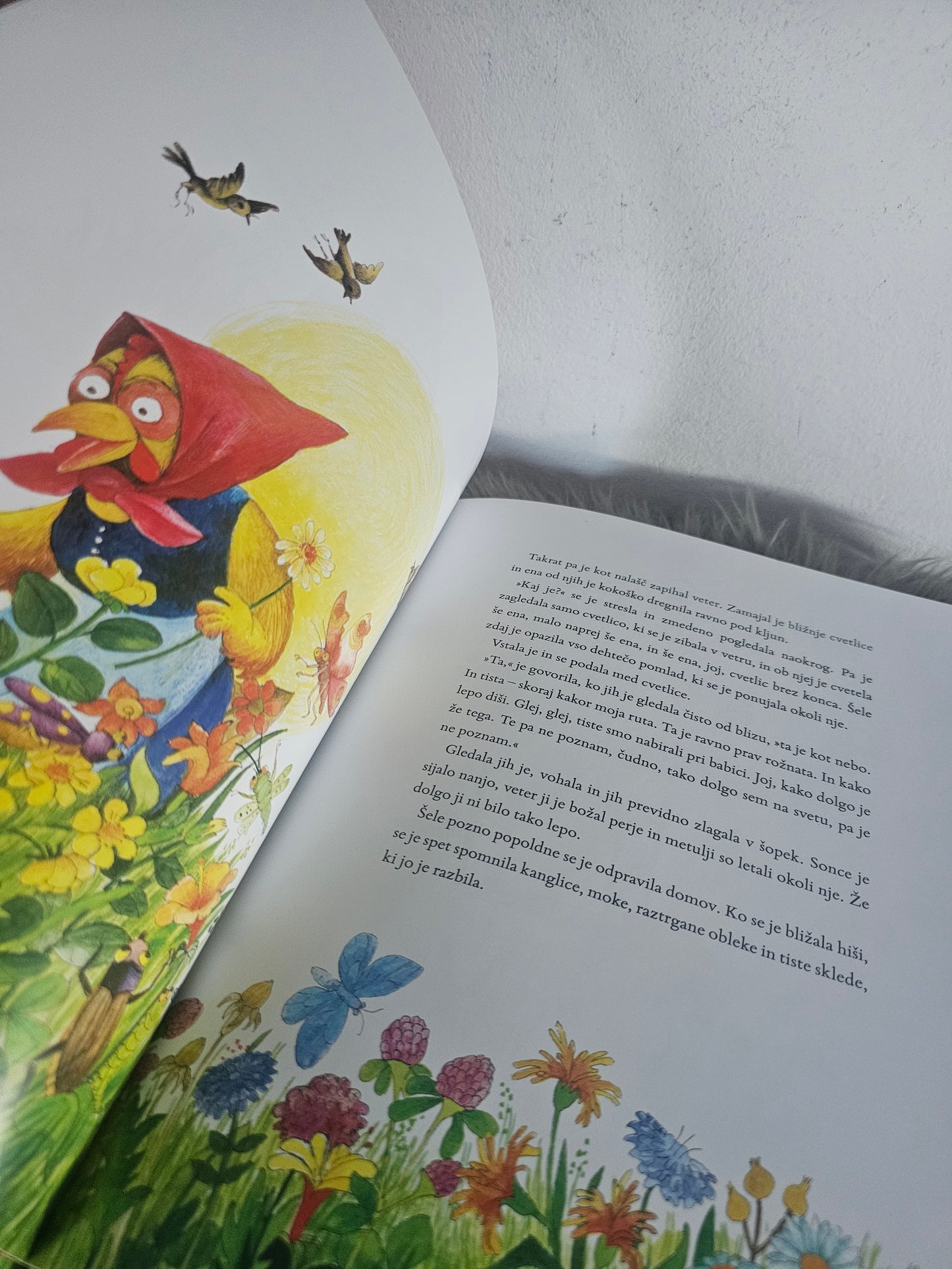 Kotiček na koncu sveta Anja Štefan