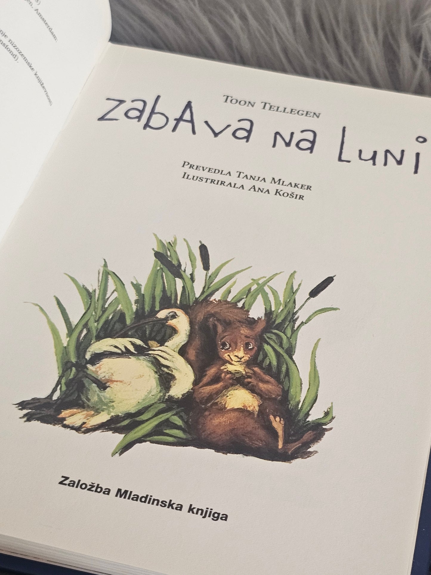 Zabava na luni Toon Tellegen