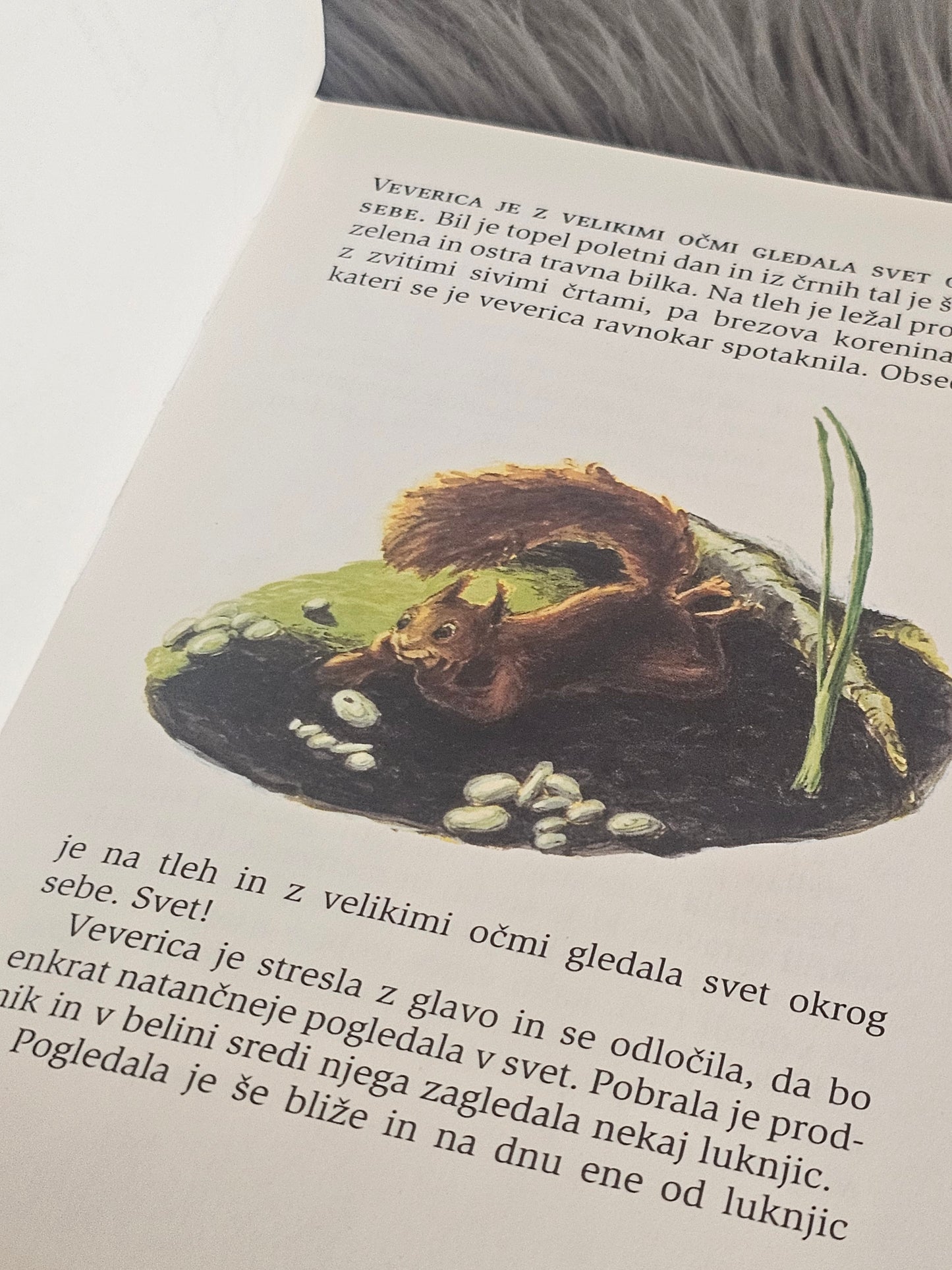 Zabava na luni Toon Tellegen