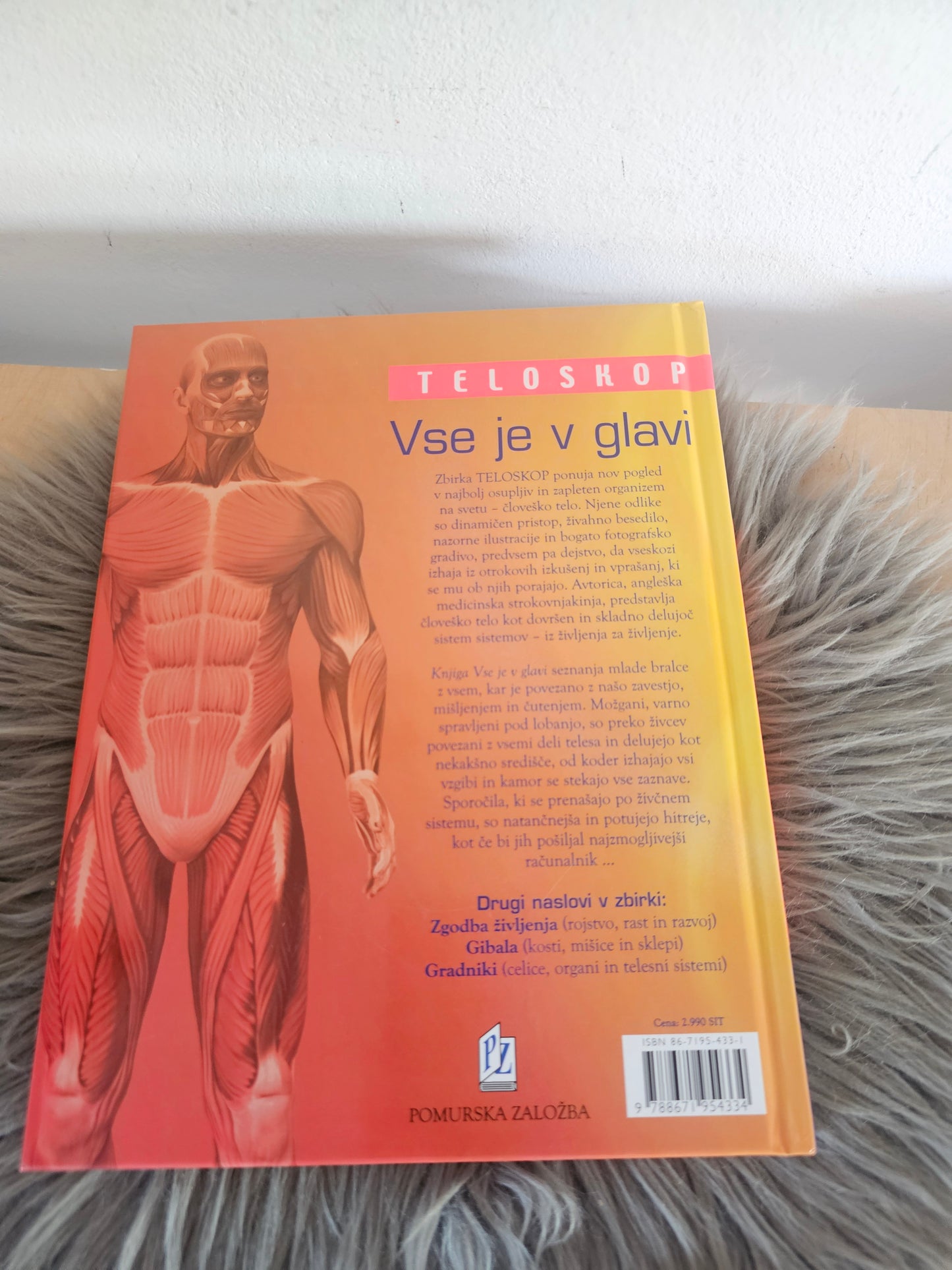 Vse je v glavi Patricia Macnair