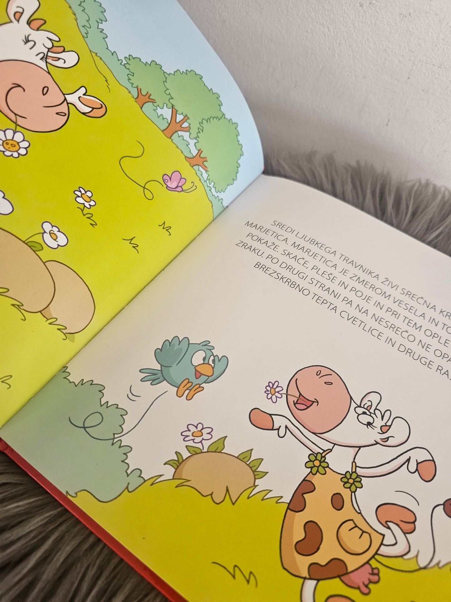 Zbirka skupno življenje Založba Grahovac