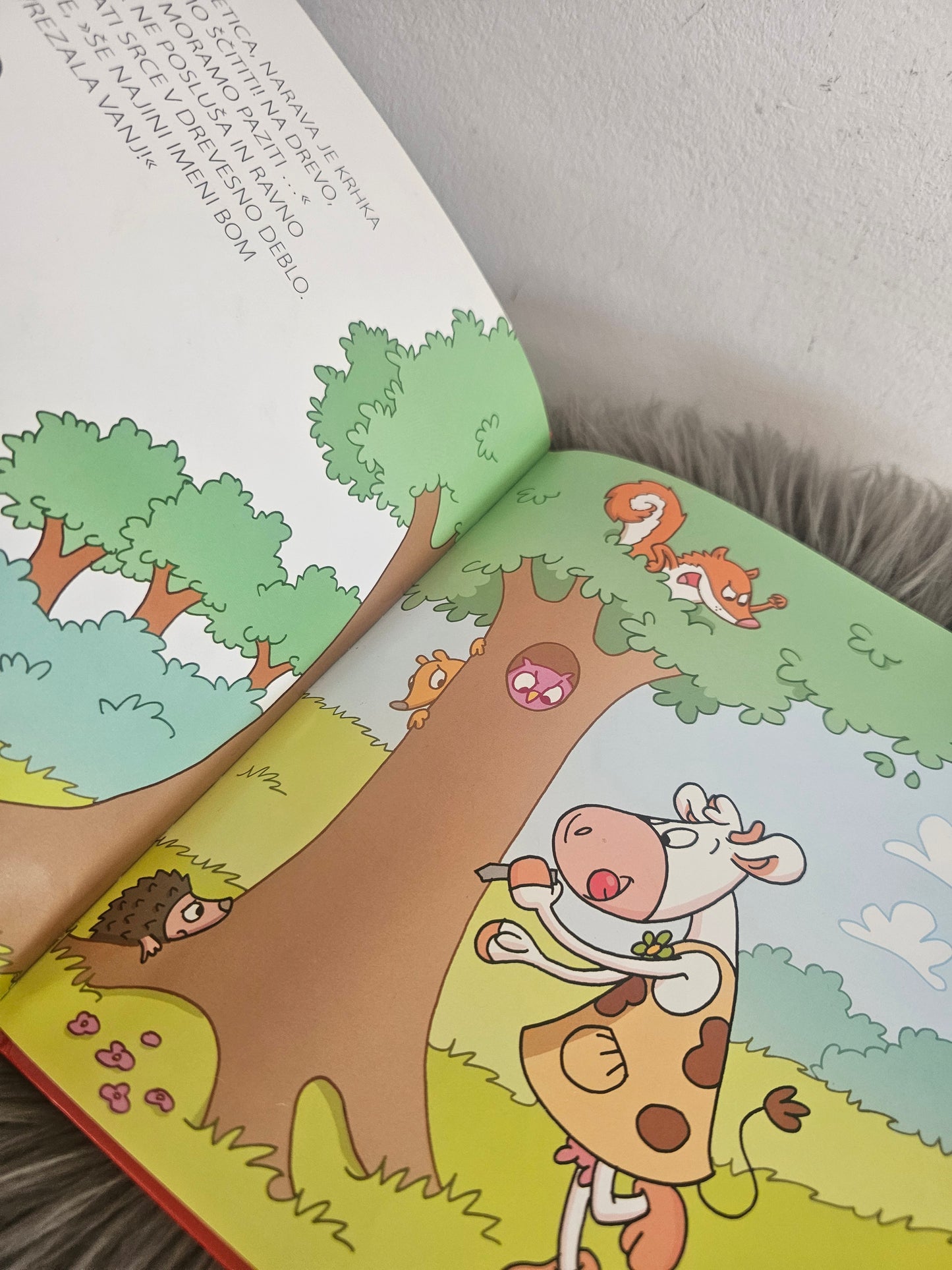 Zbirka skupno življenje Založba Grahovac