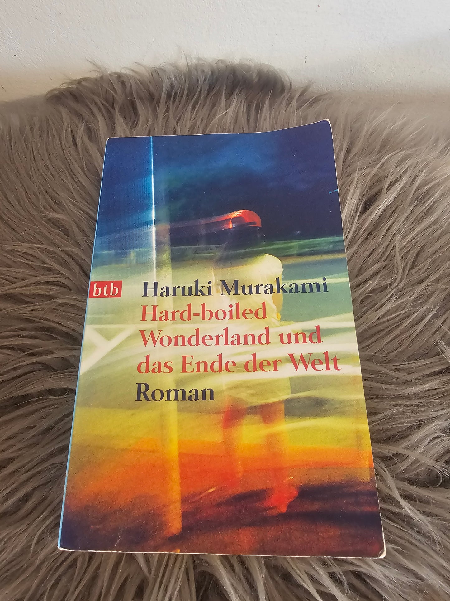 Hard-boiled Wonderland und das Ende der Welt Haruki Murakami