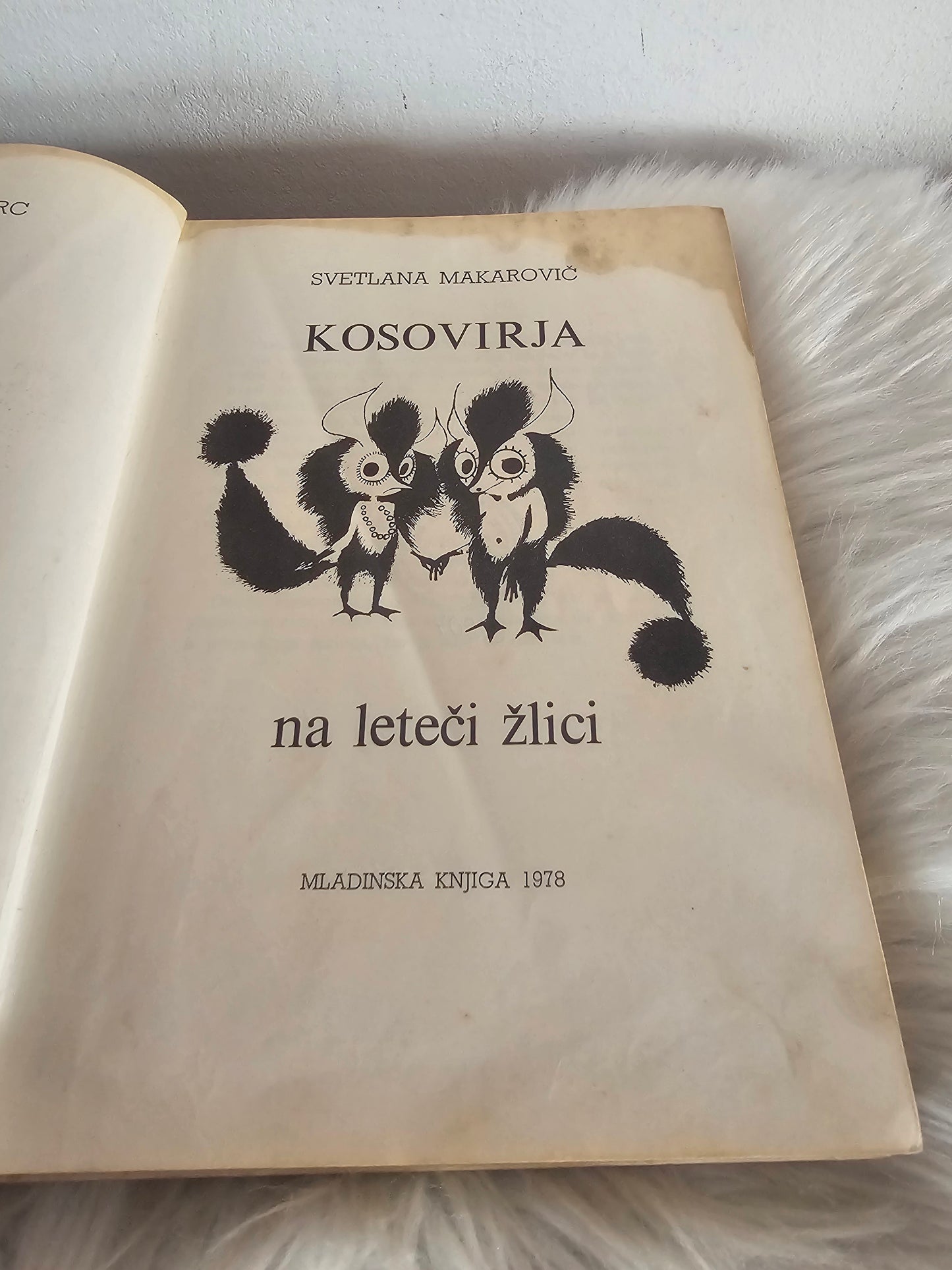Kosovirja na leteči žlici Svetlana Makarovič