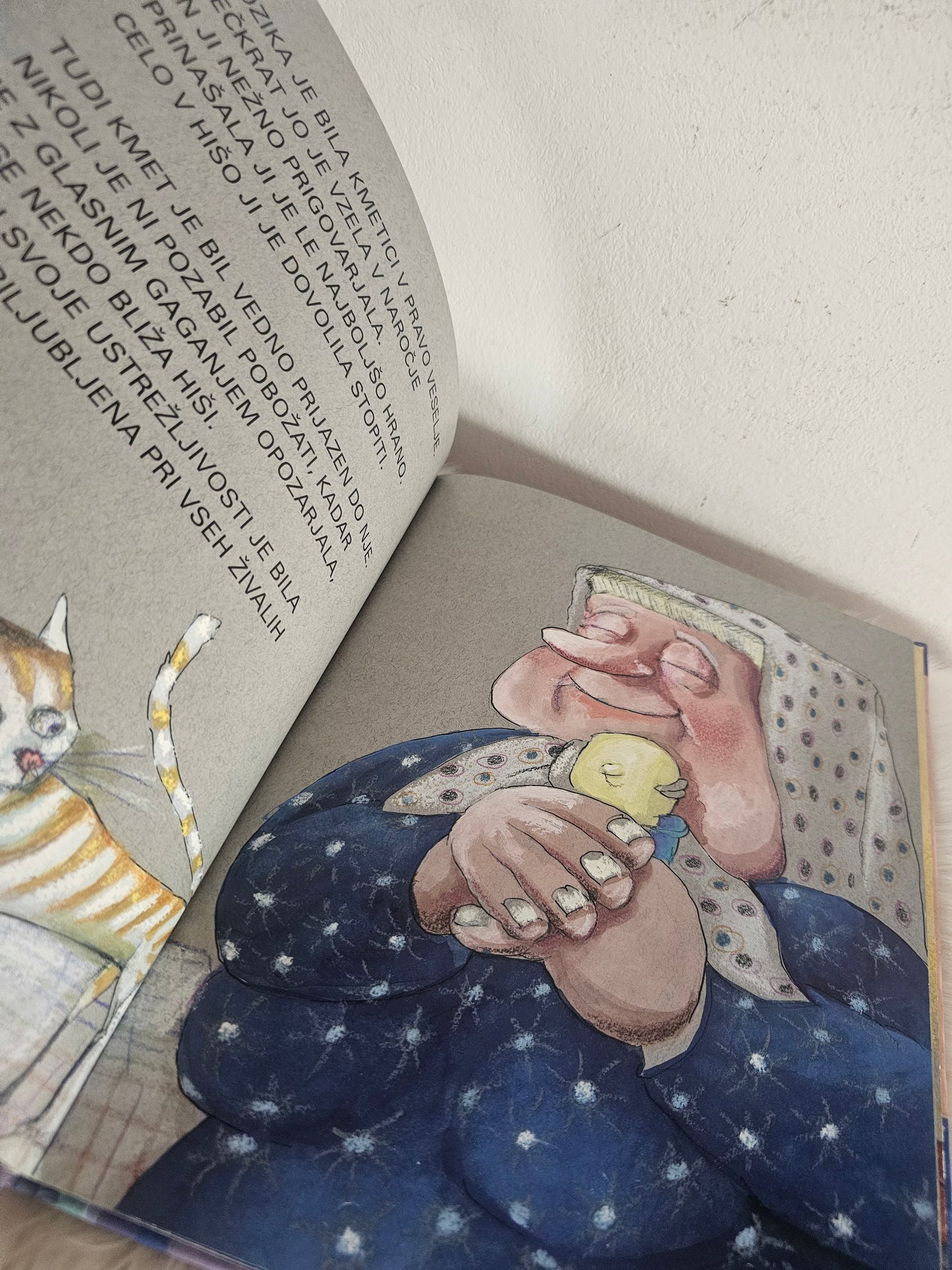 O dveh račkah Mojiceja Podgoršek