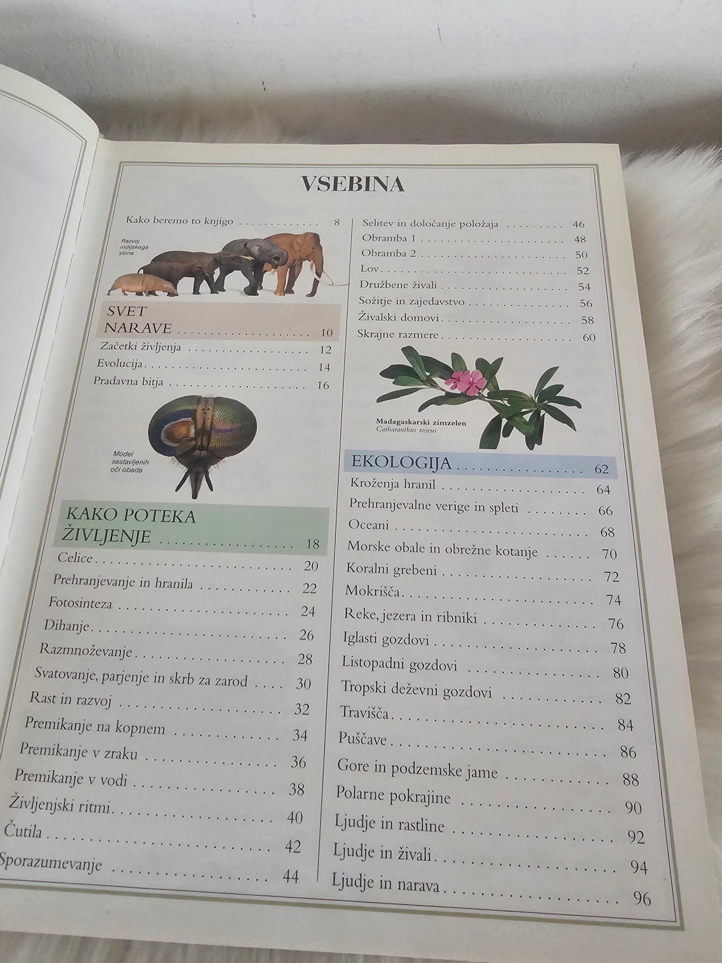Enciklopedija narave Slovenska knjiga