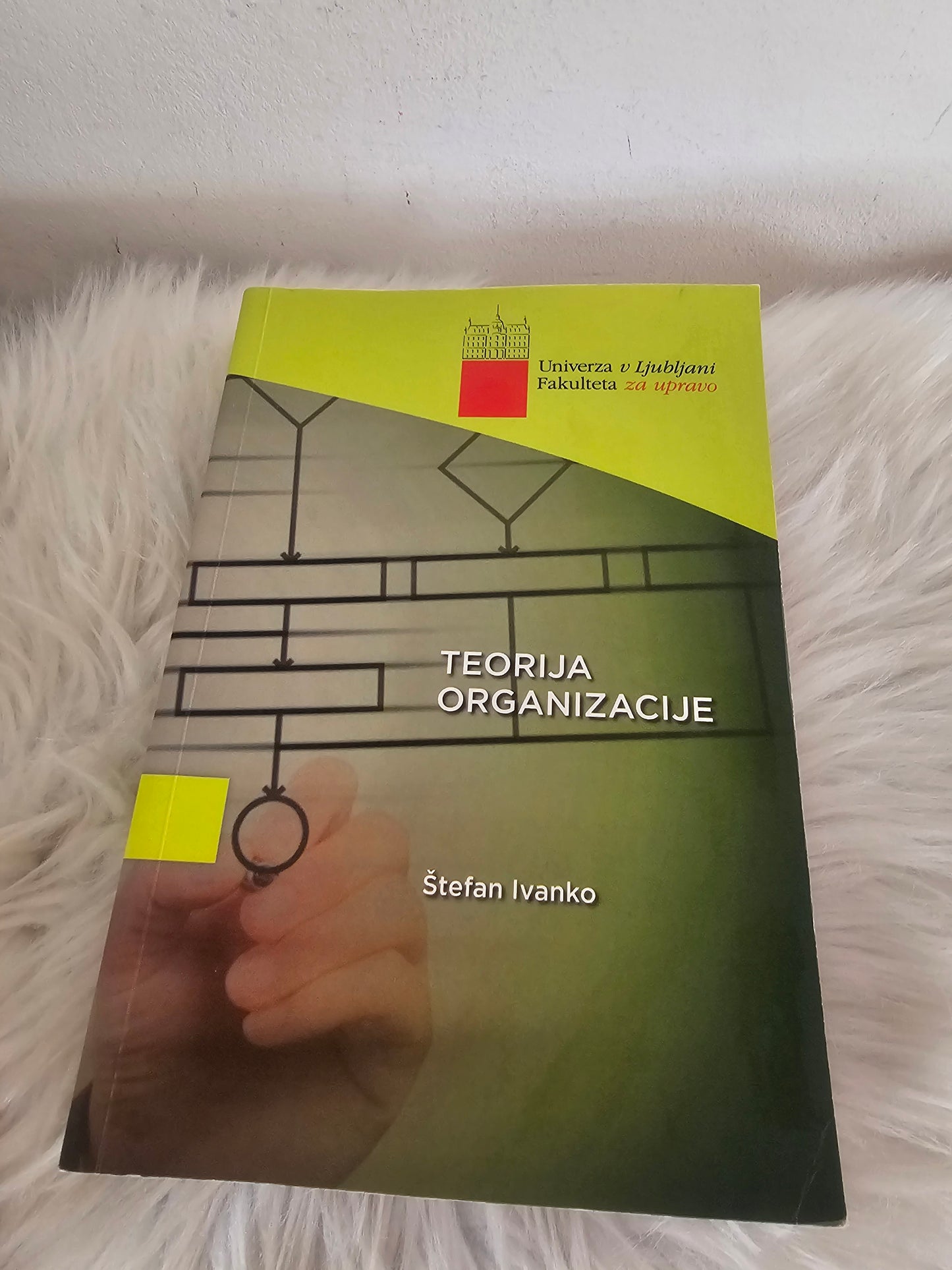 Teorija organizacije Štefan Ivanko