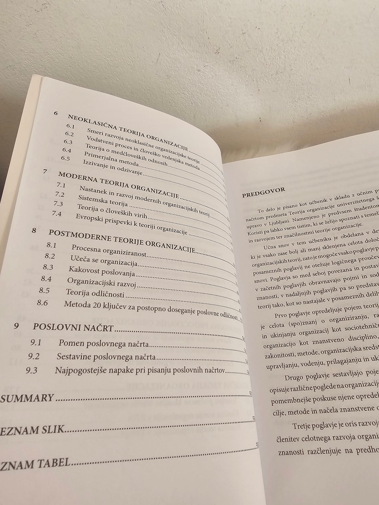 Teorija organizacije Štefan Ivanko