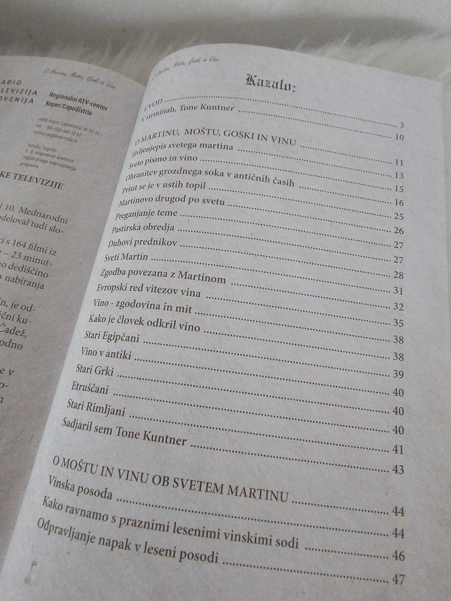 O Martinu, moštu, goski in vinu Andrej Fric