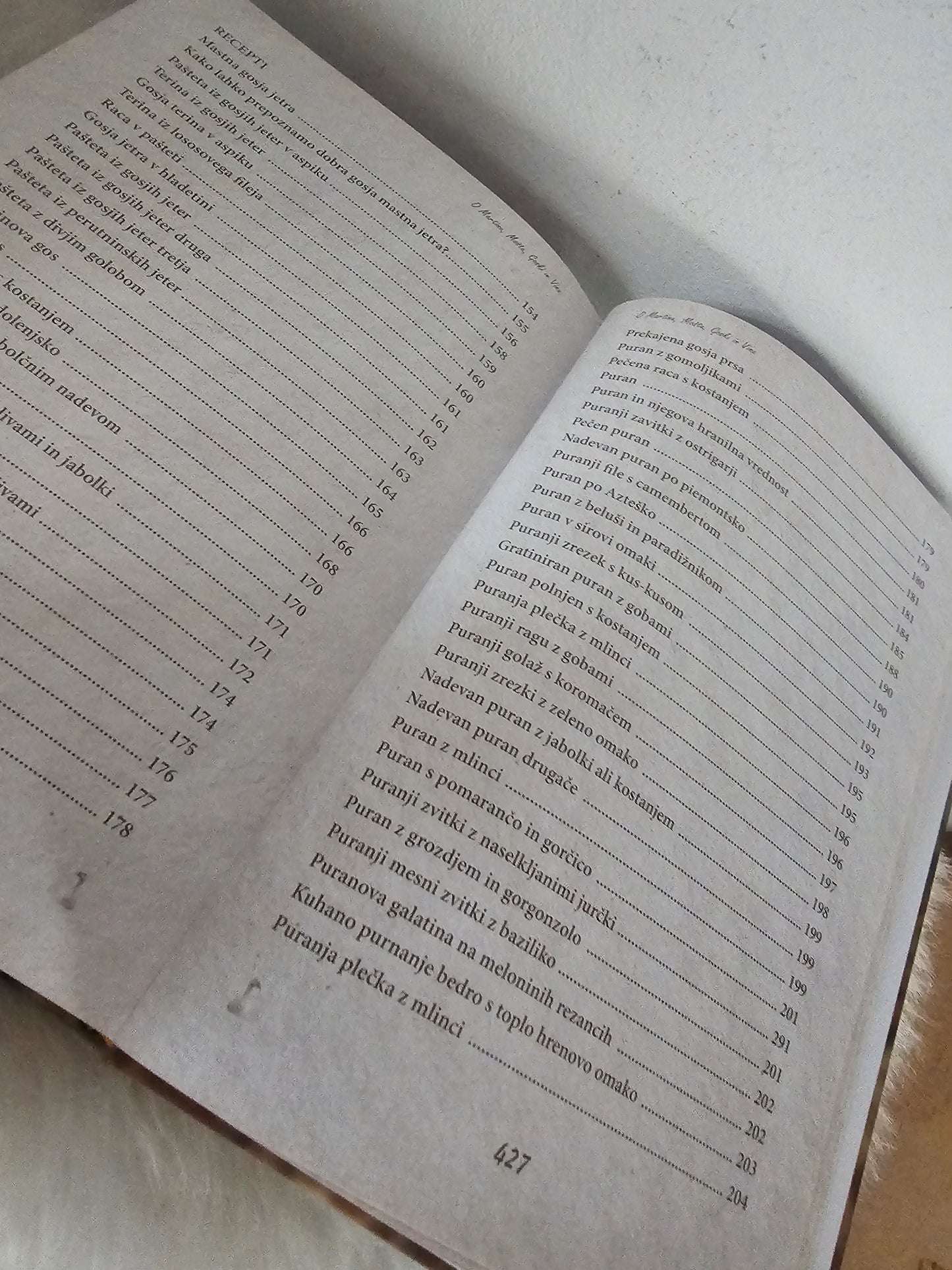 O Martinu, moštu, goski in vinu Andrej Fric