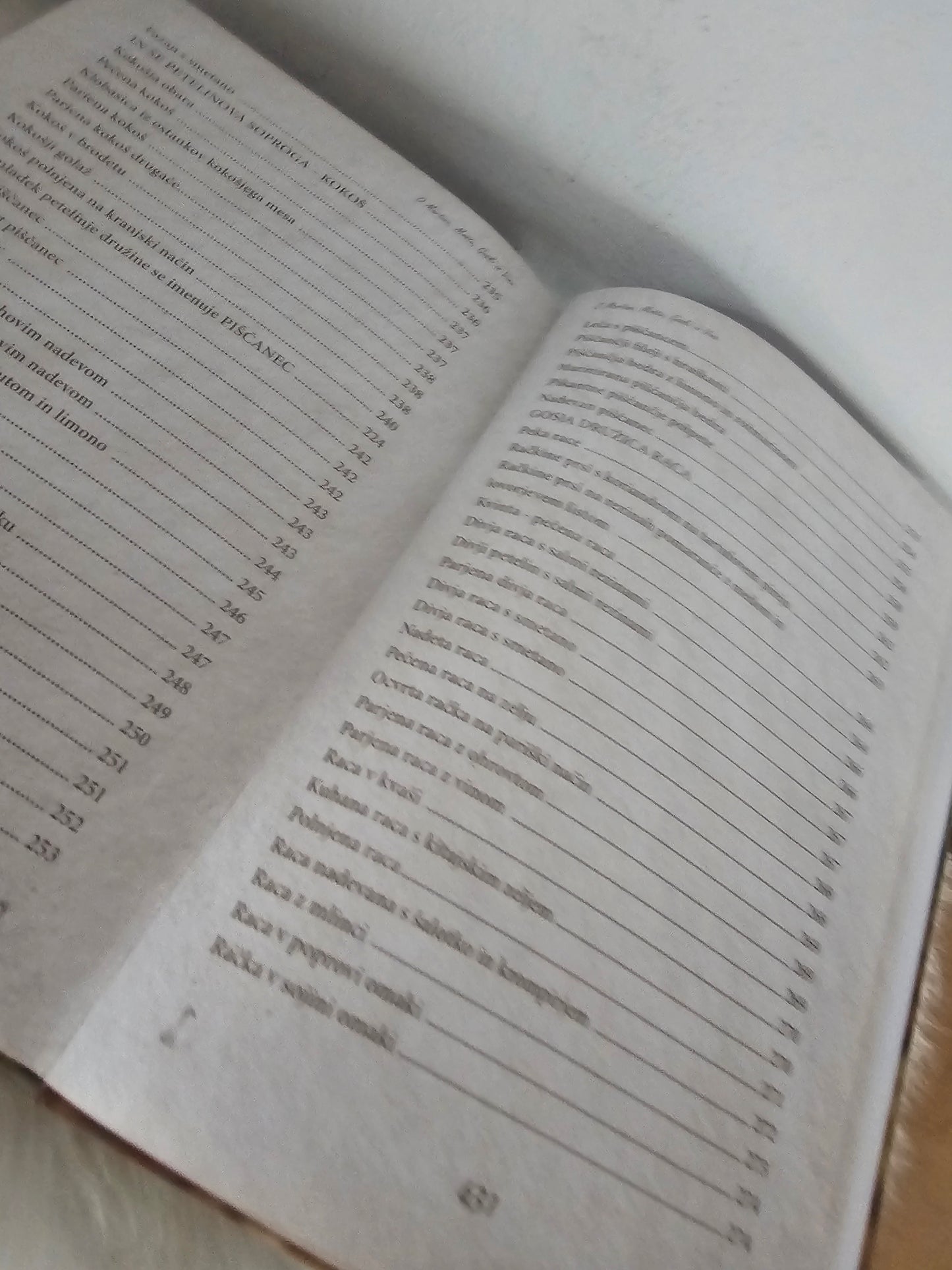 O Martinu, moštu, goski in vinu Andrej Fric