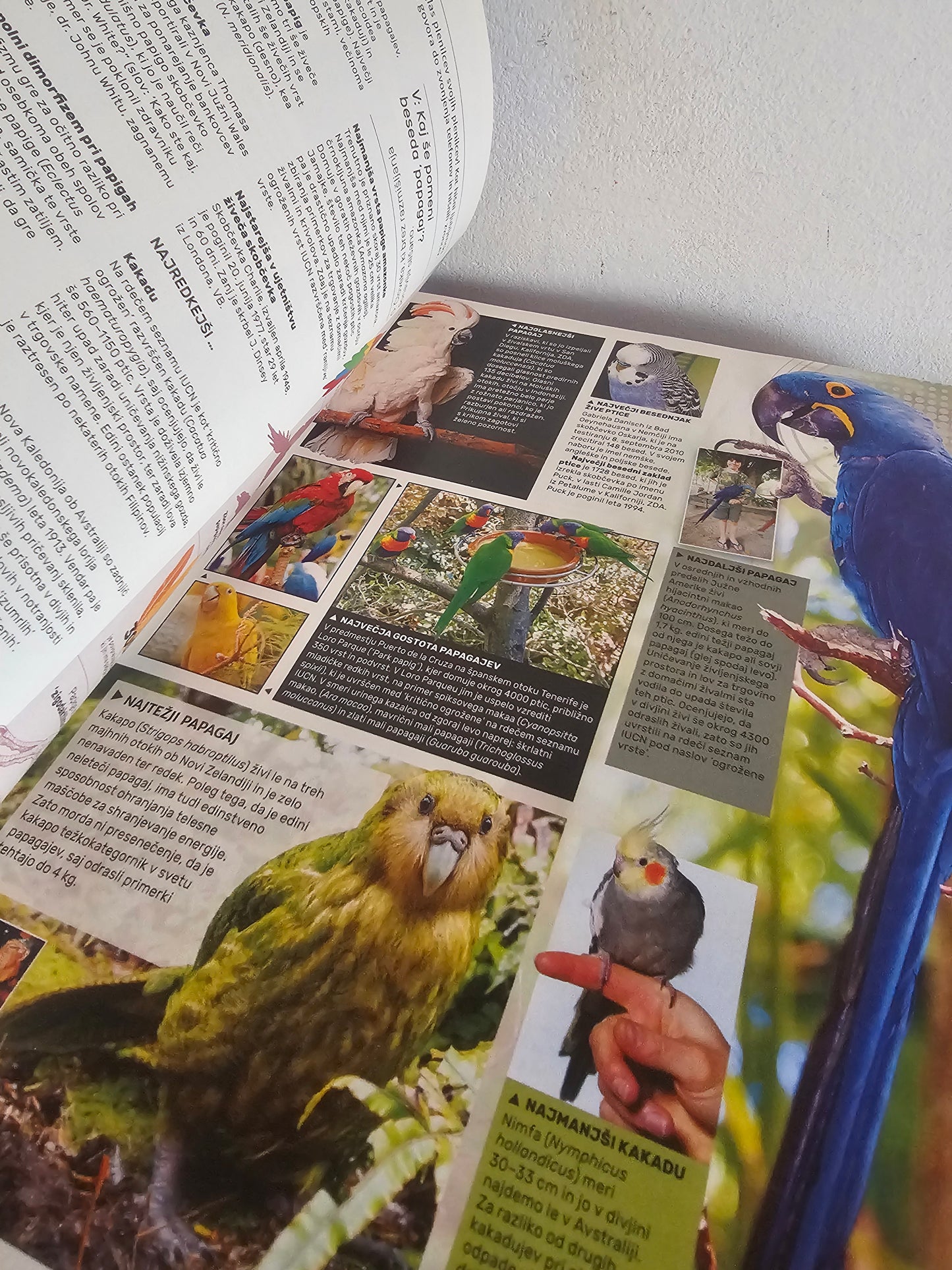 Guinness World records 2018 več avtorjev