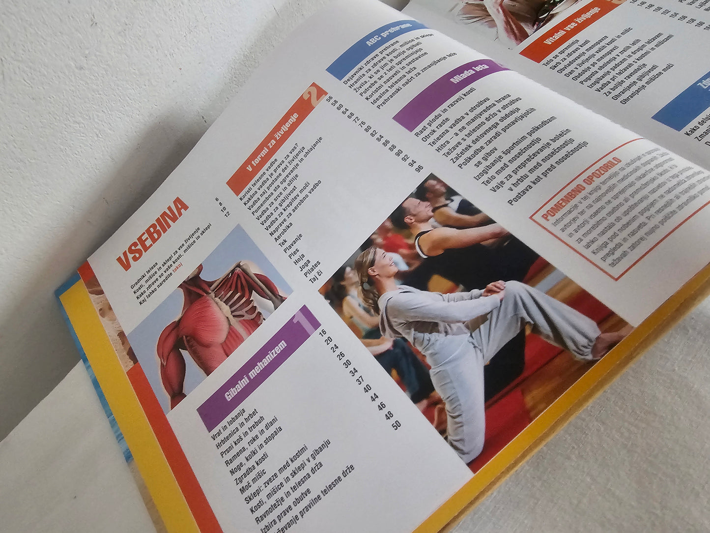 Zdrave kosti, mišice in sklepi Reader Digest