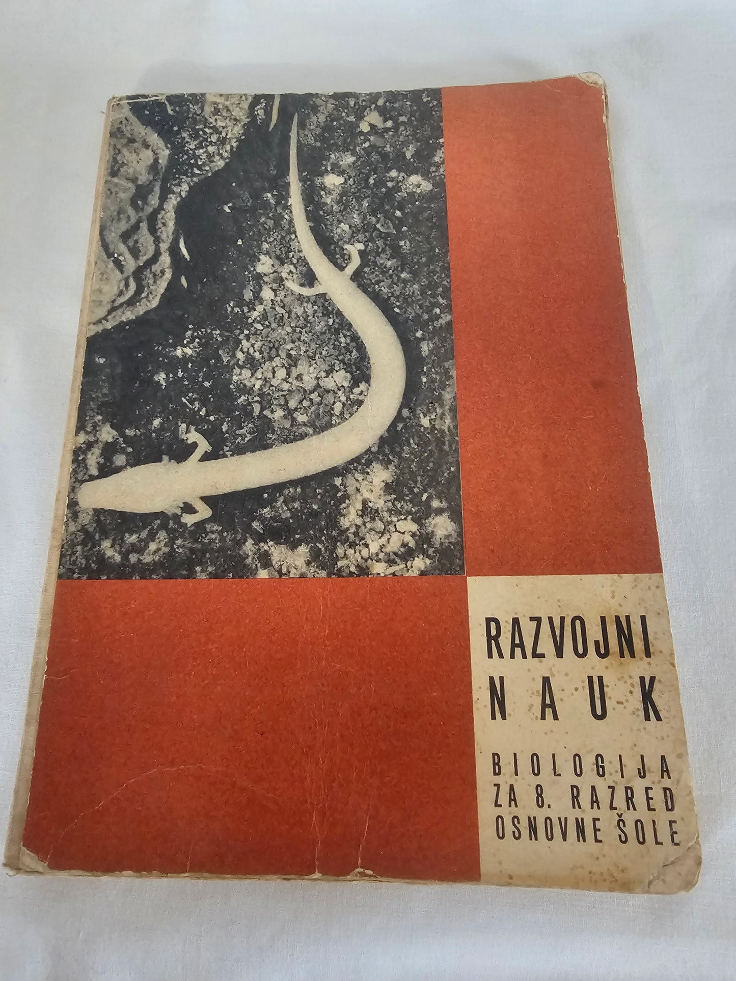 Razvojni nauk Mladinska knjiga