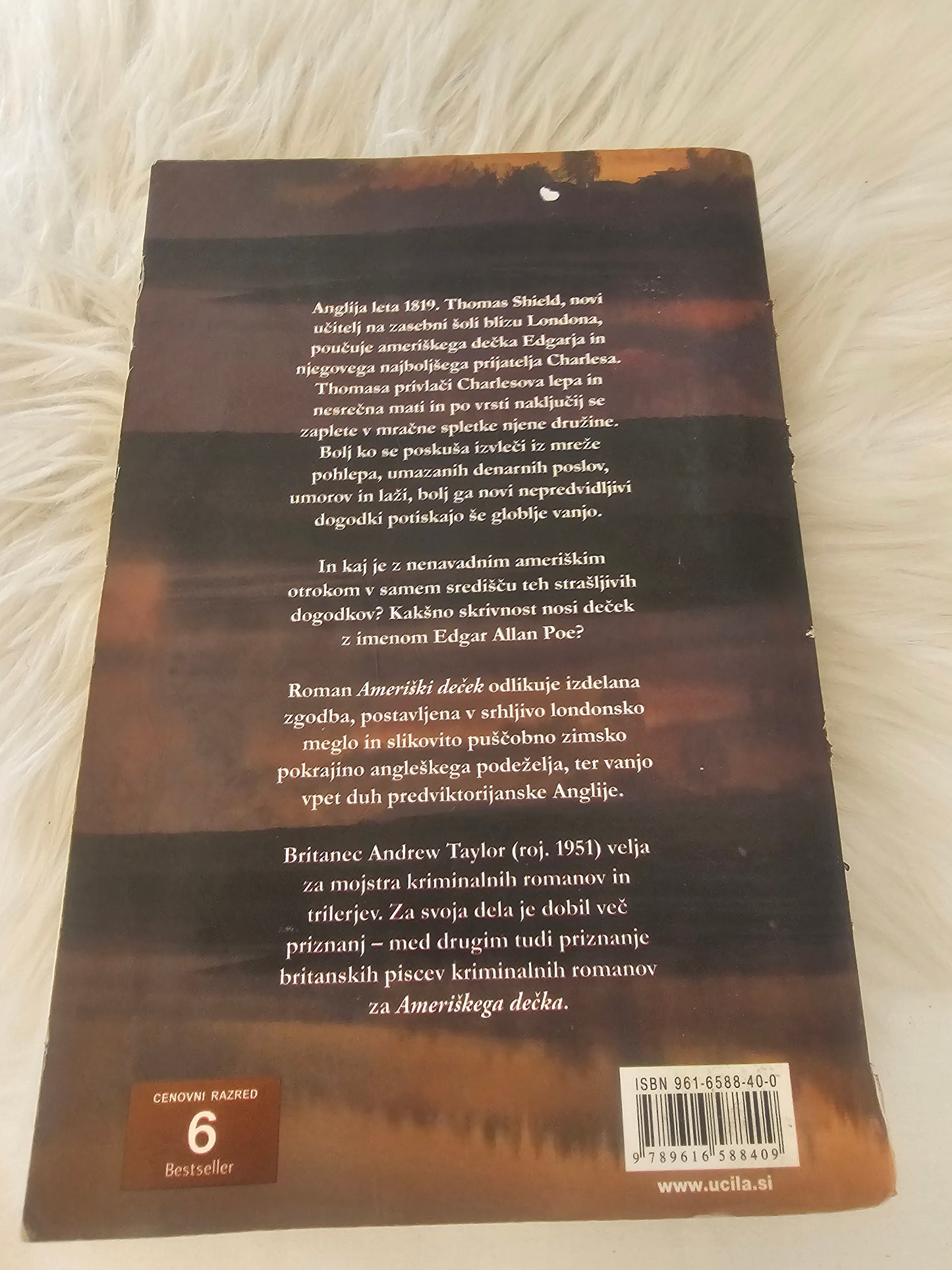 Ameriški deček Andrew Taylor