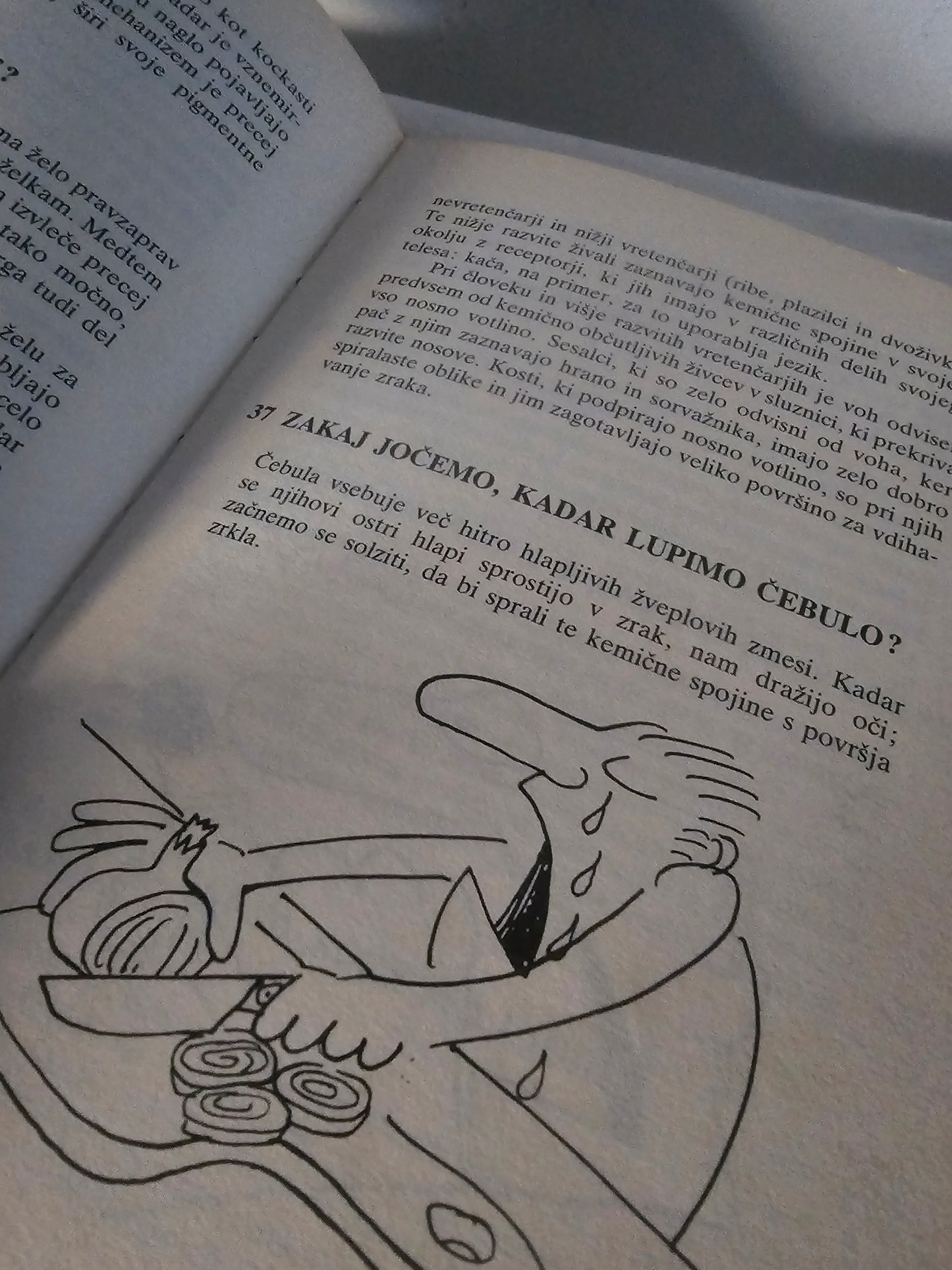 Zajkajček Janice Robertson Geofferey Hoyle