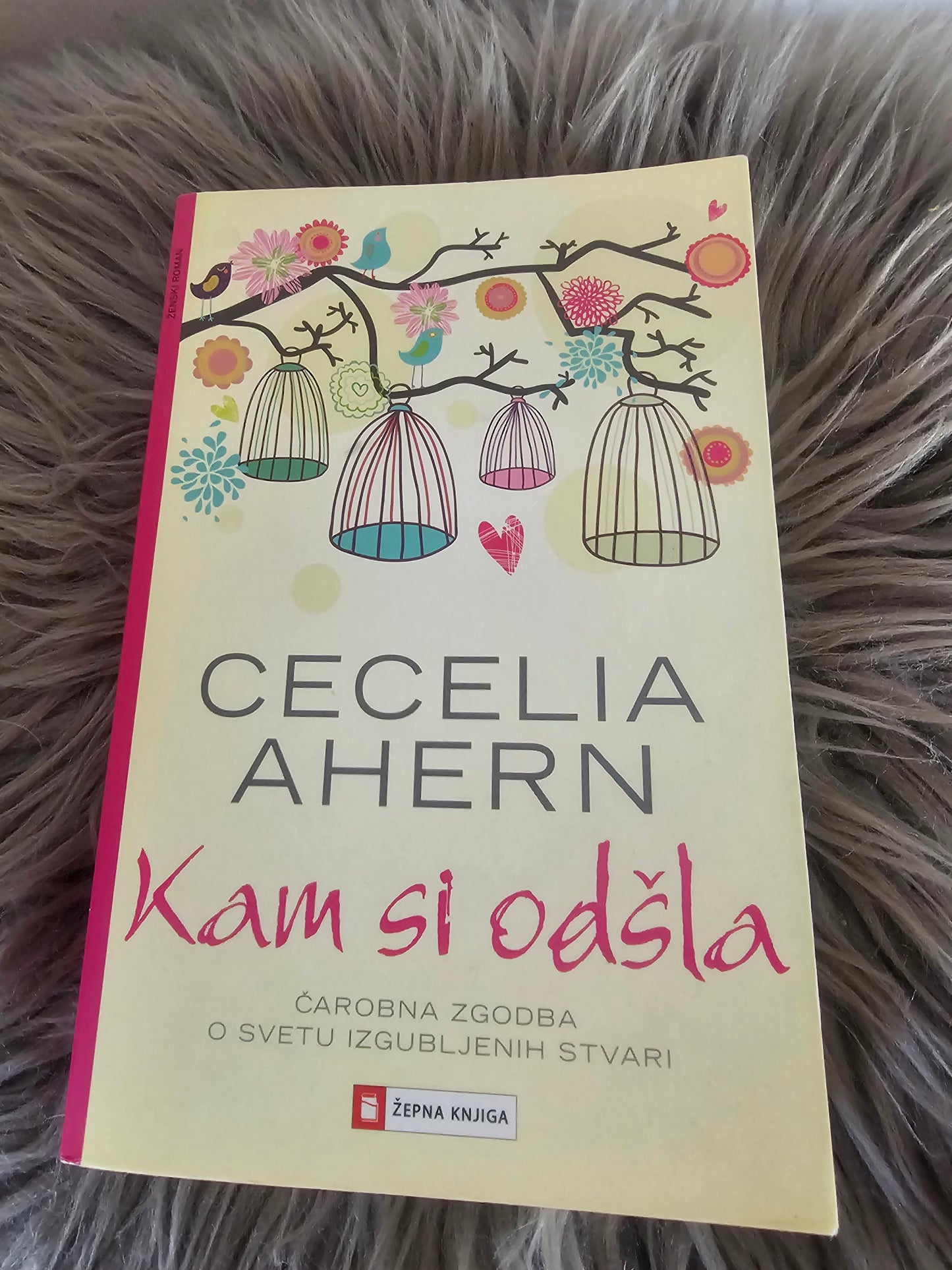 Kam si odšla Cecelia Ahern