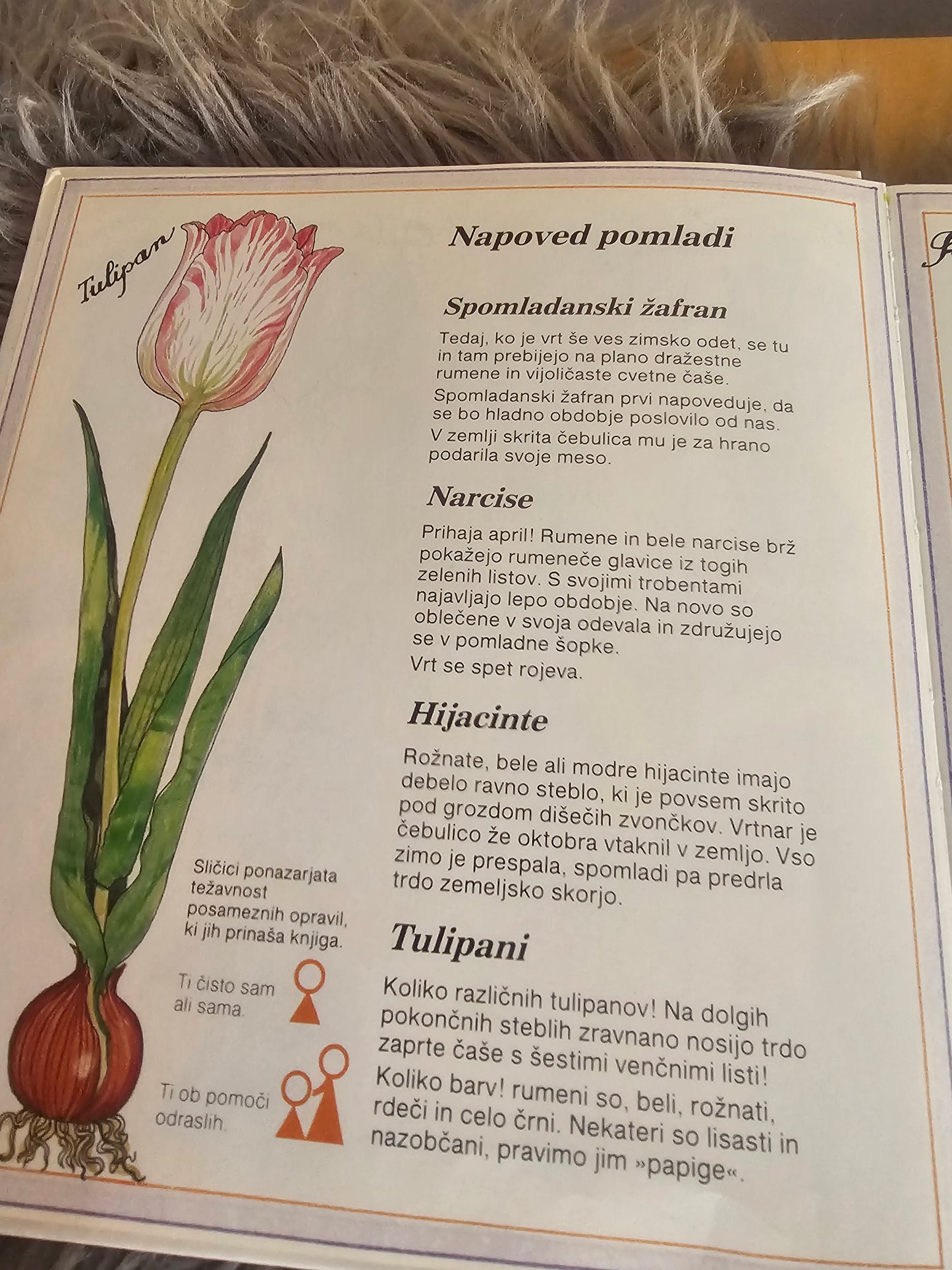 Cvetje Marthe Seguin Fontes