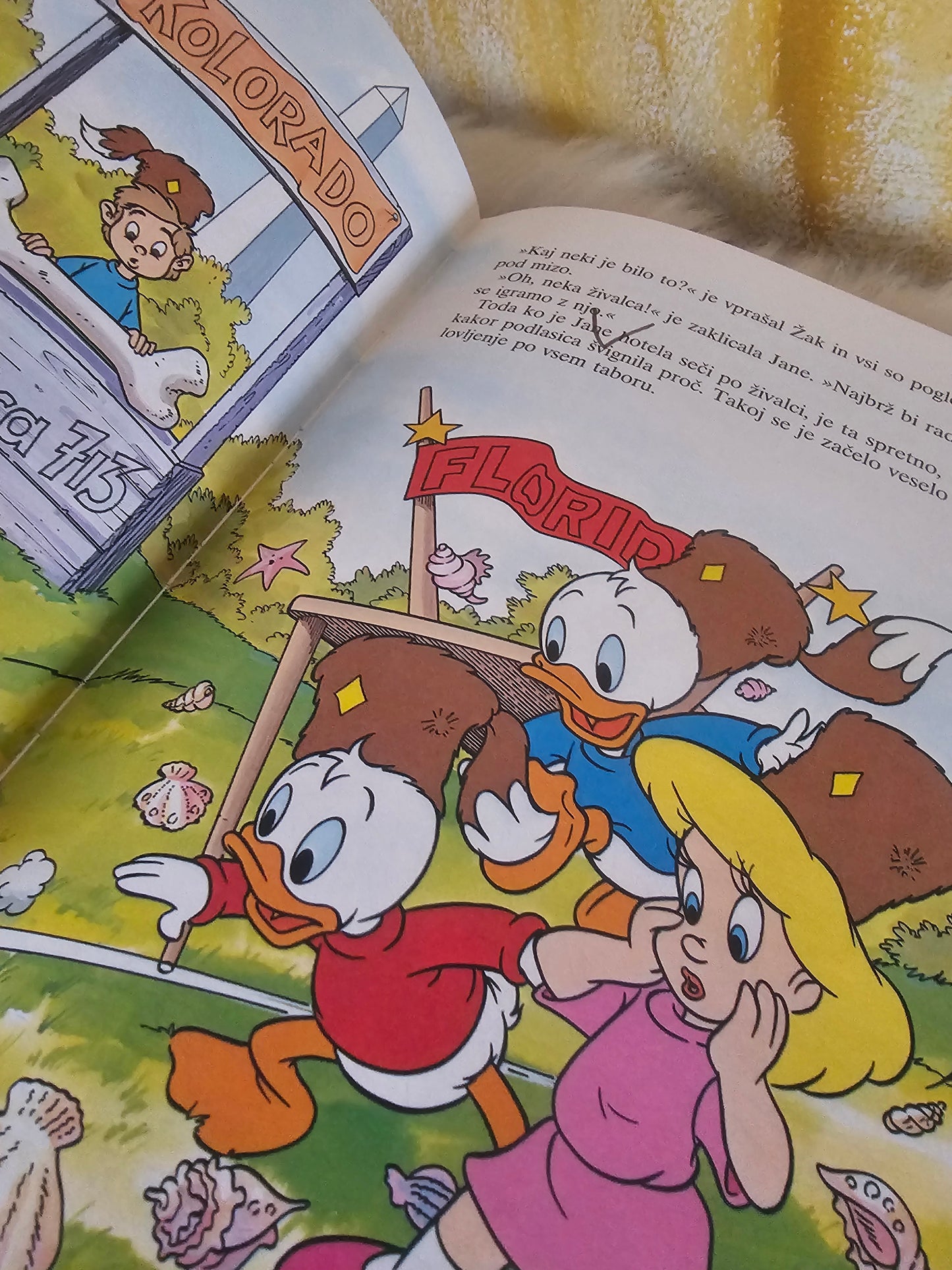 Izgubljena vidra Pustolovščina v Zda Disney