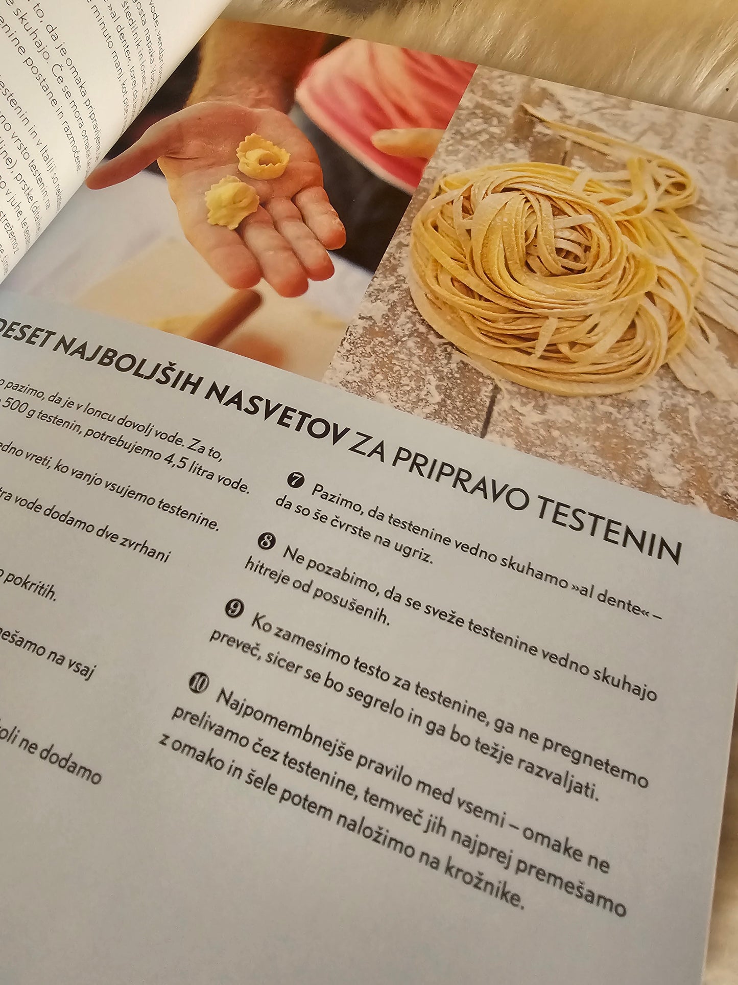 Testenine Gino Dacampo