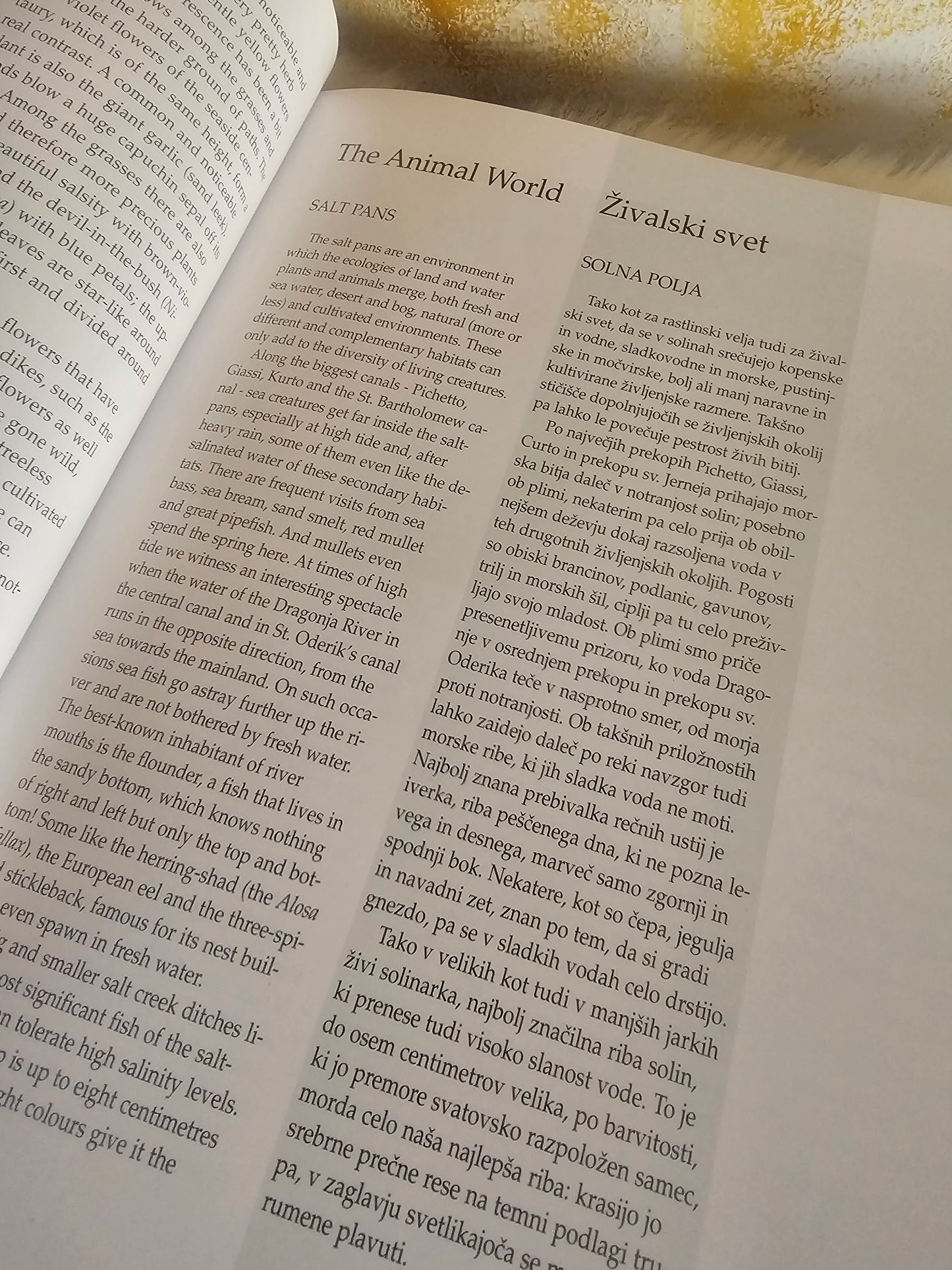 Sečoveljske soline Sečovlje Saltpans Iztok Geister